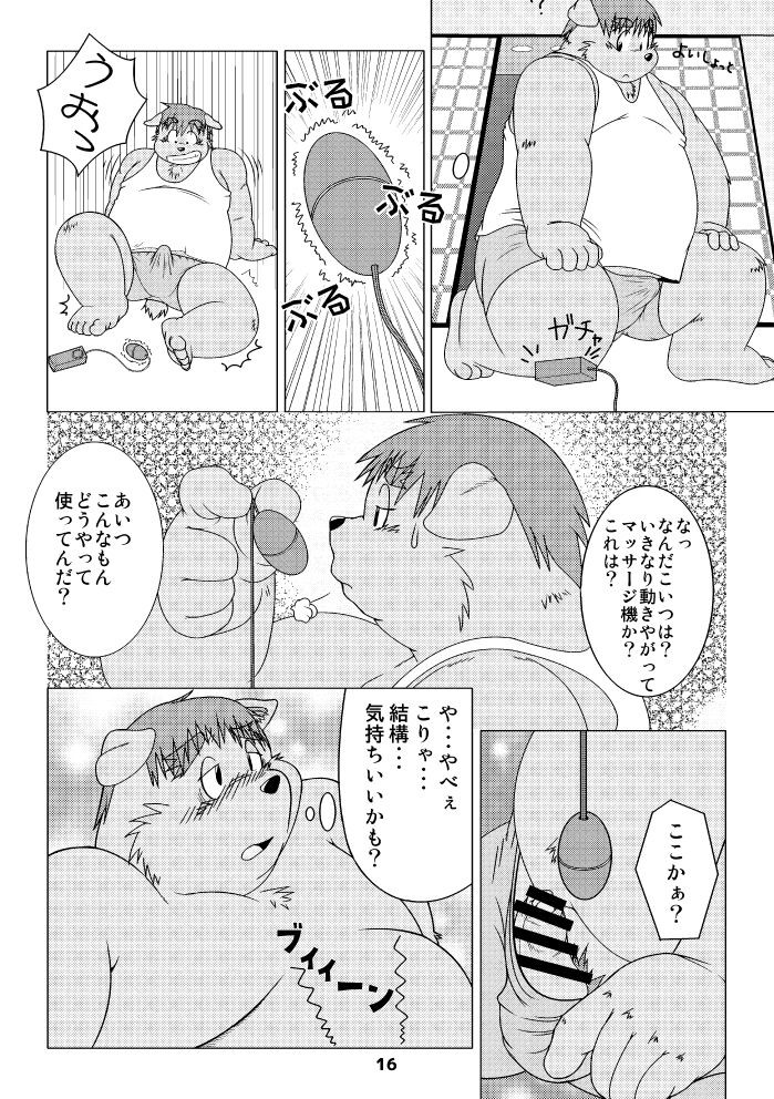 Page 15