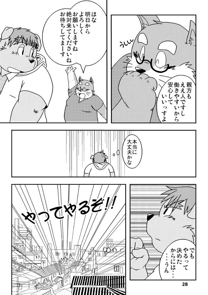 Page 27