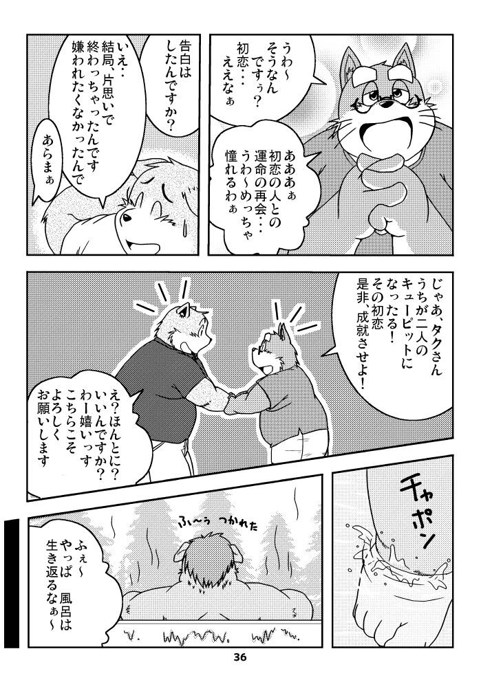 Page 35
