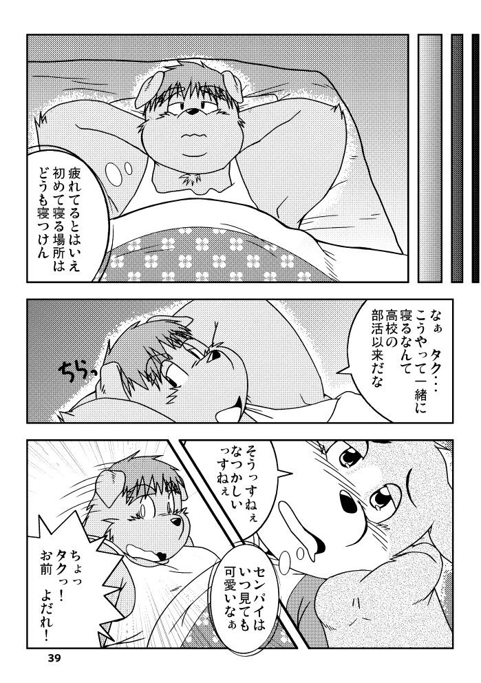 Page 38
