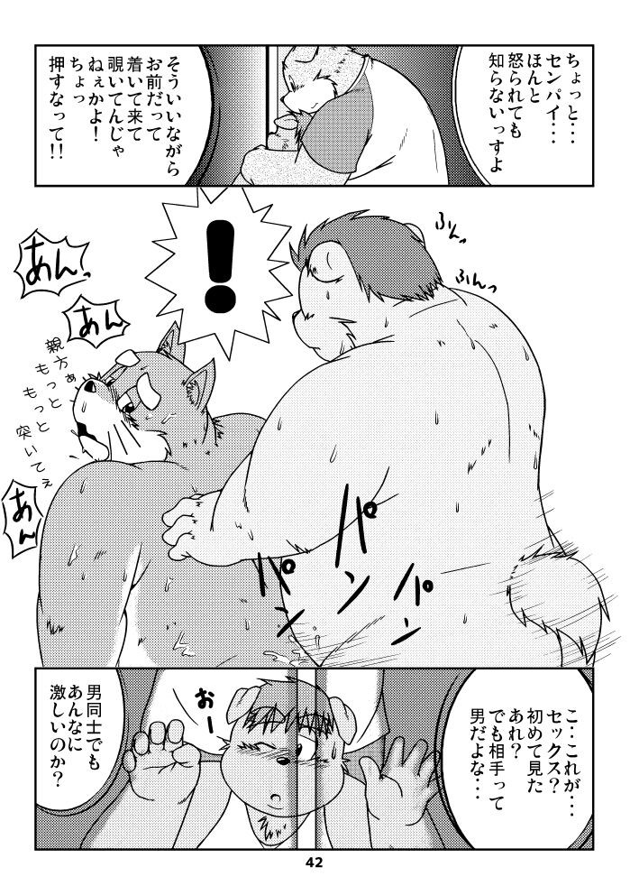 Page 41