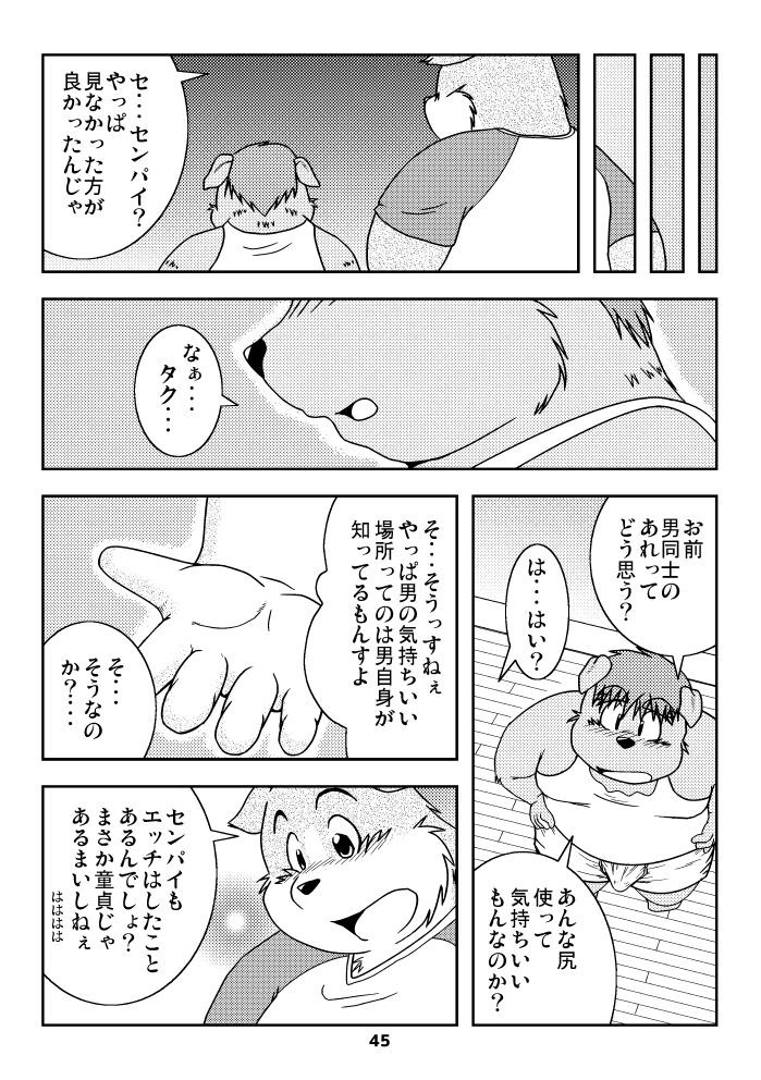 Page 44