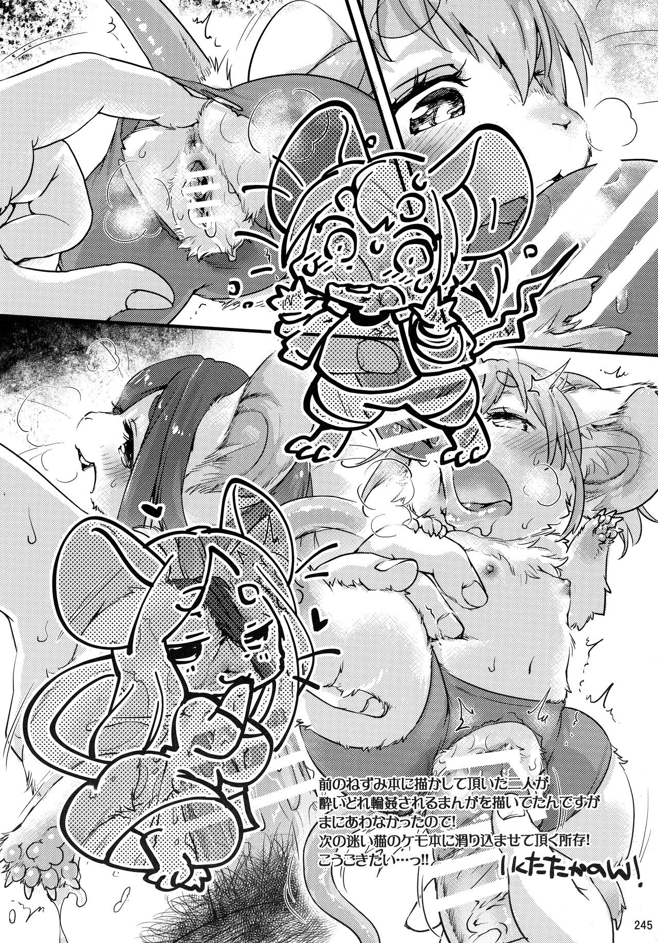 Page 244