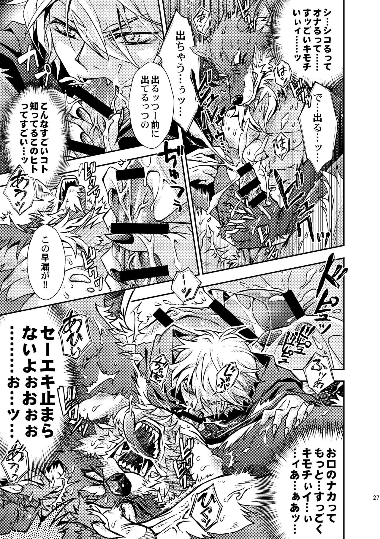 Page 27