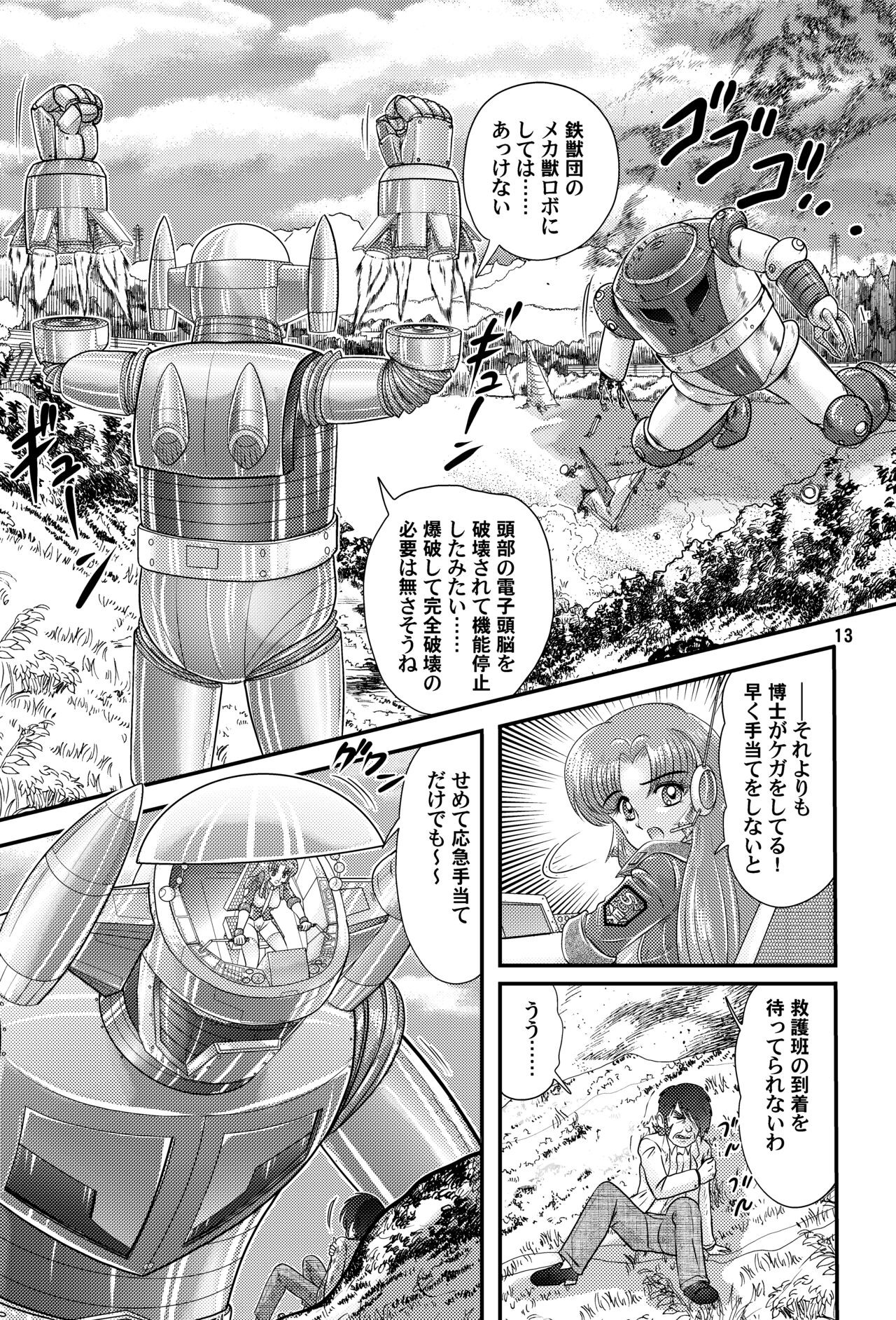 Page 13