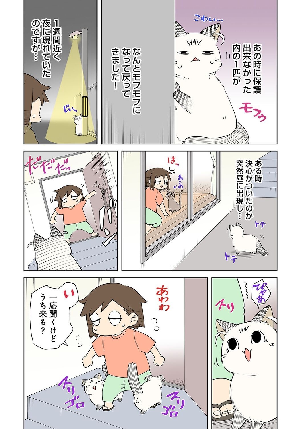 Page 239