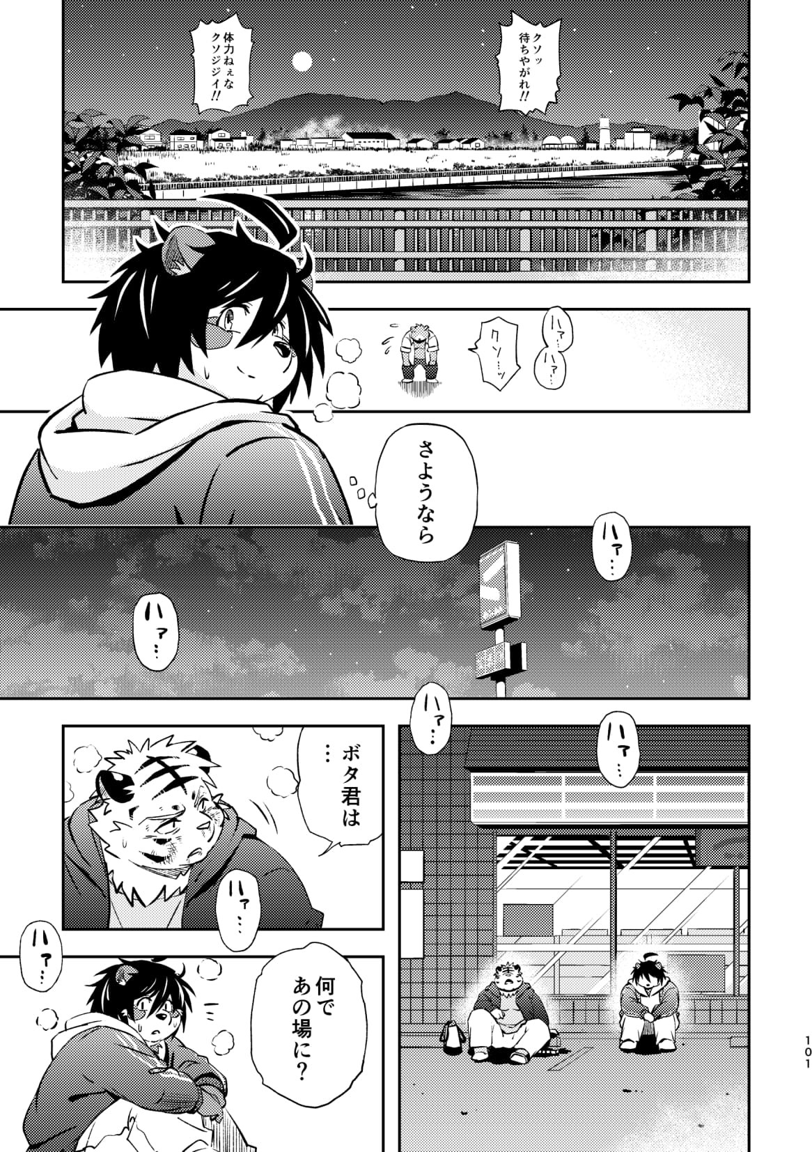 Page 101
