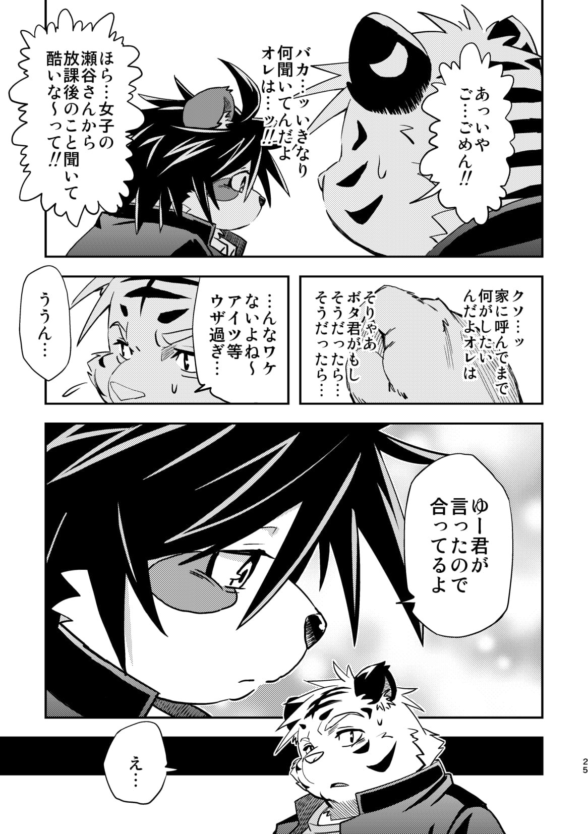 Page 25