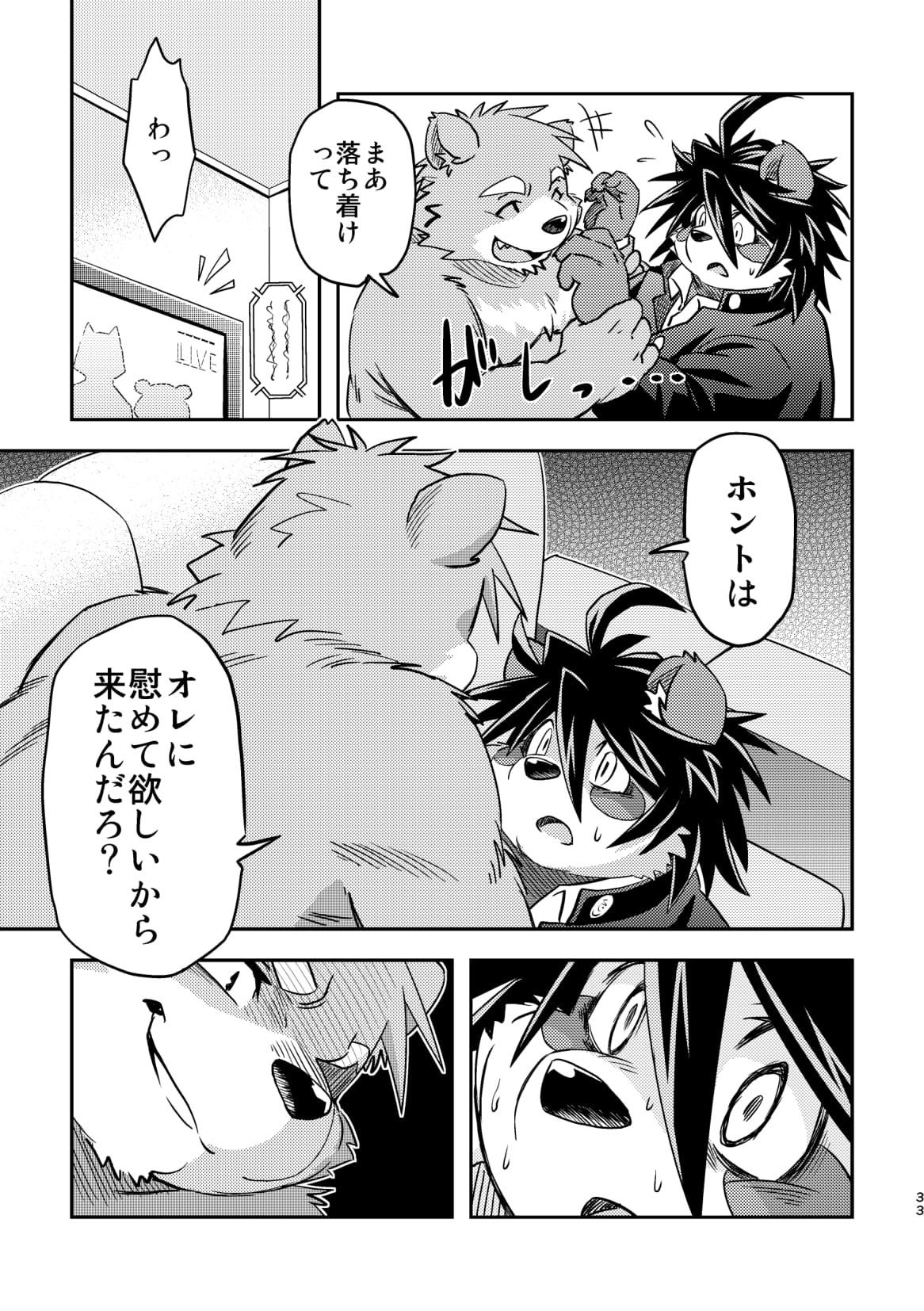 Page 33