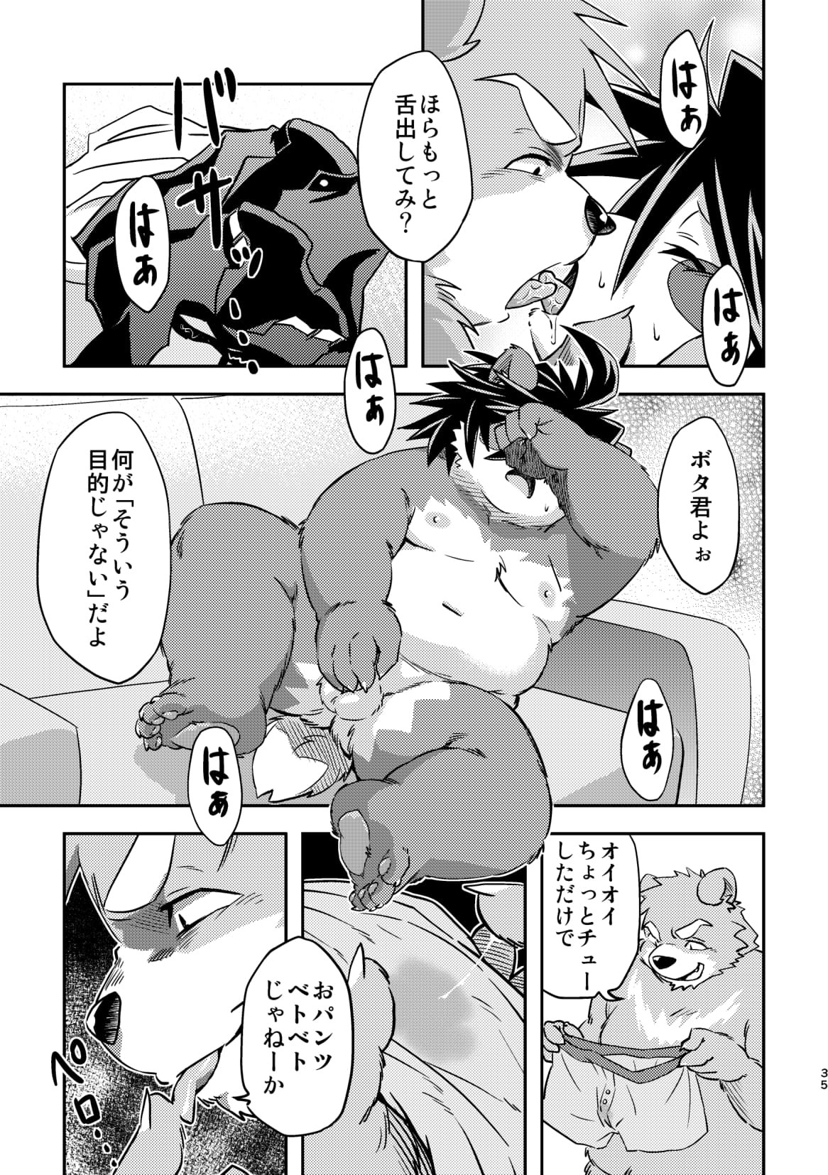 Page 35