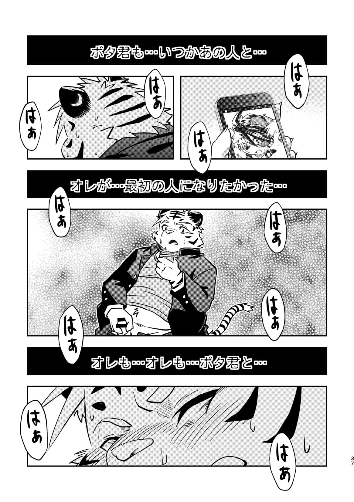 Page 37