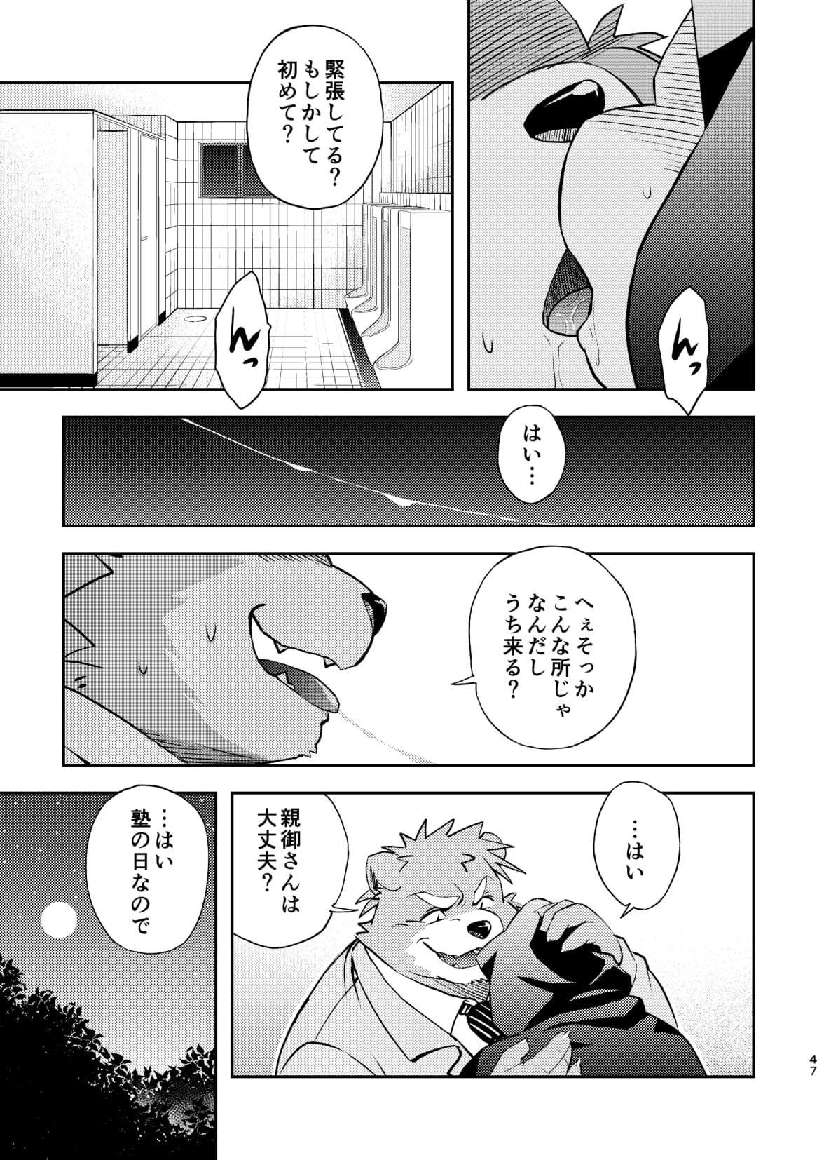 Page 47