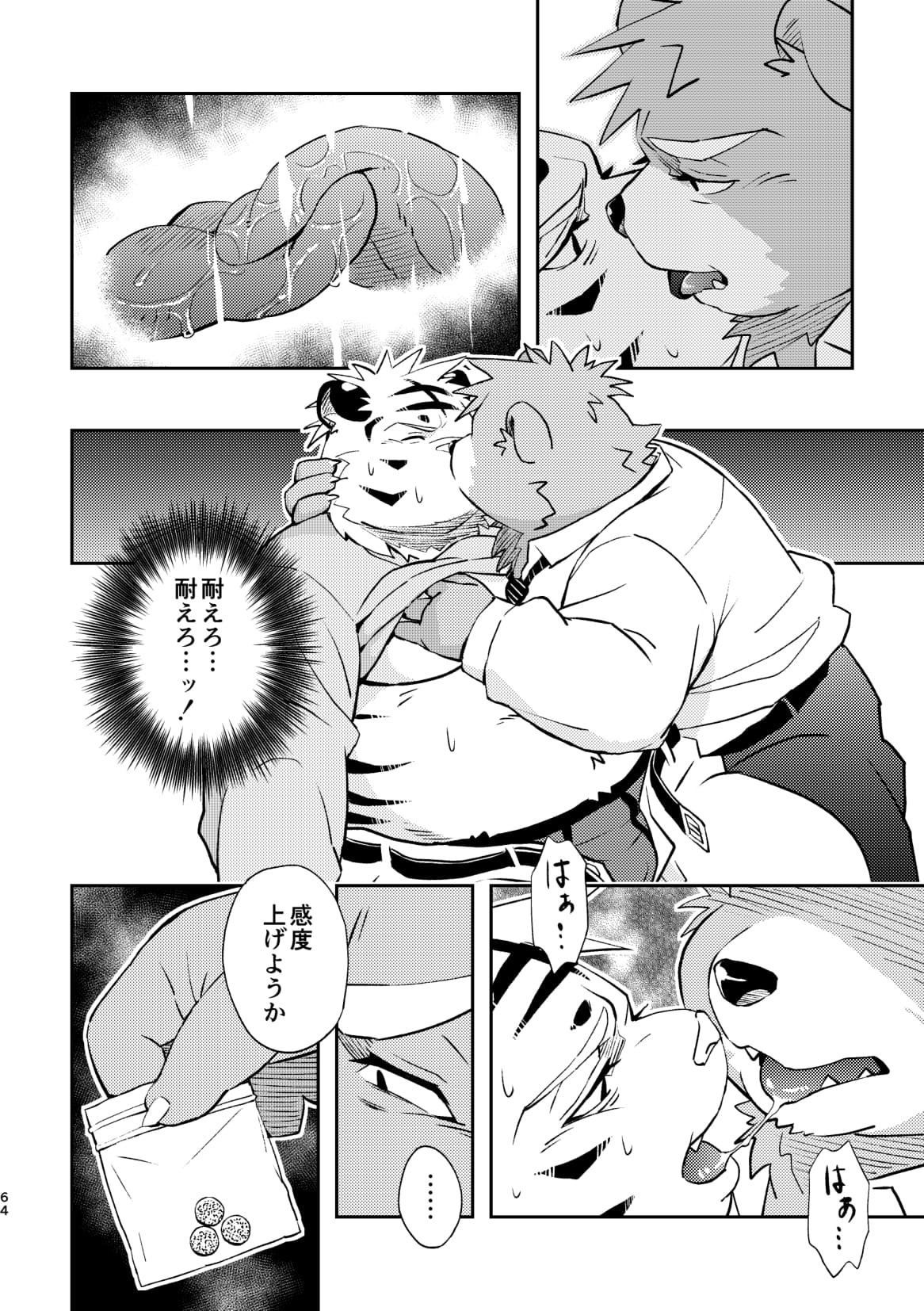 Page 64