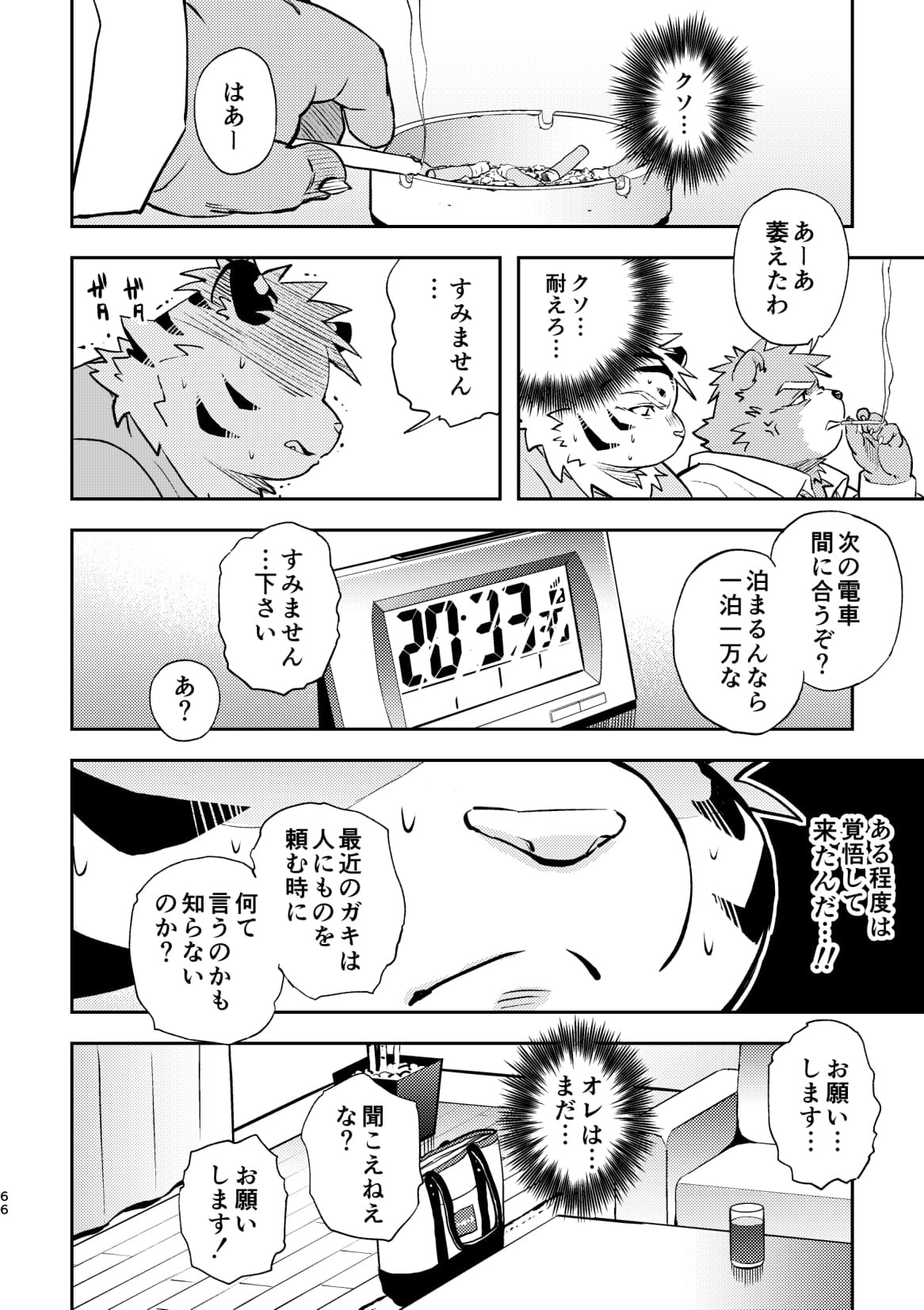 Page 66