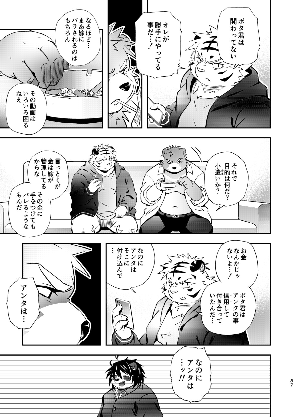 Page 87