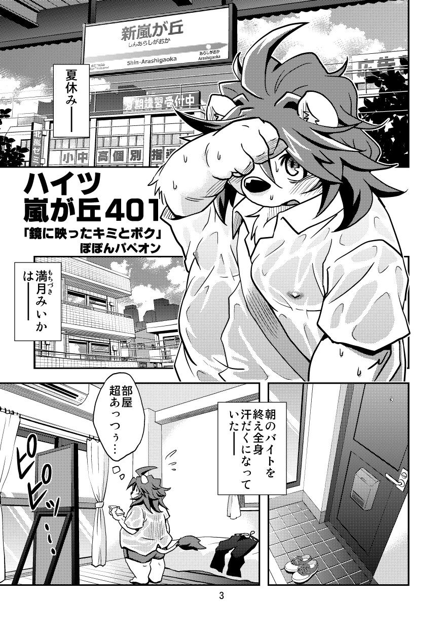 Page 3