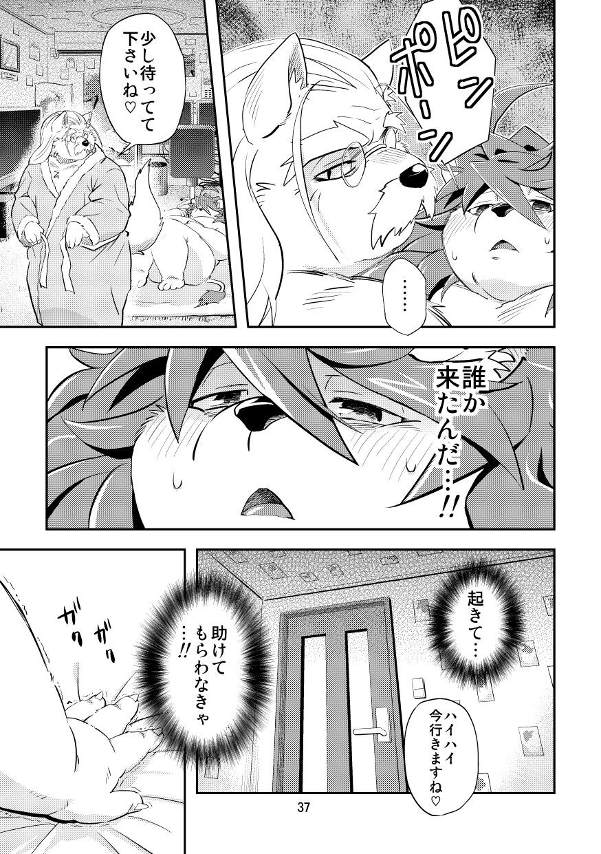 Page 37