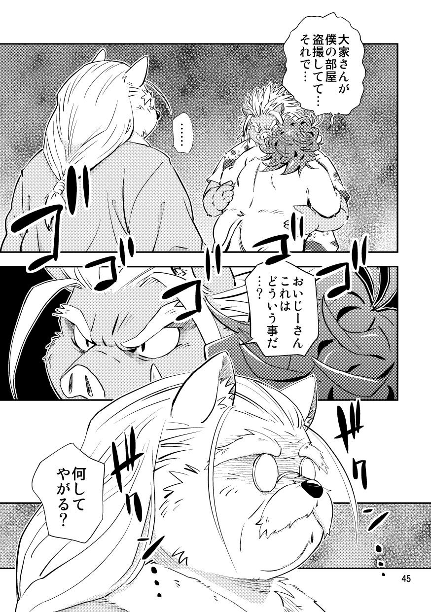 Page 45