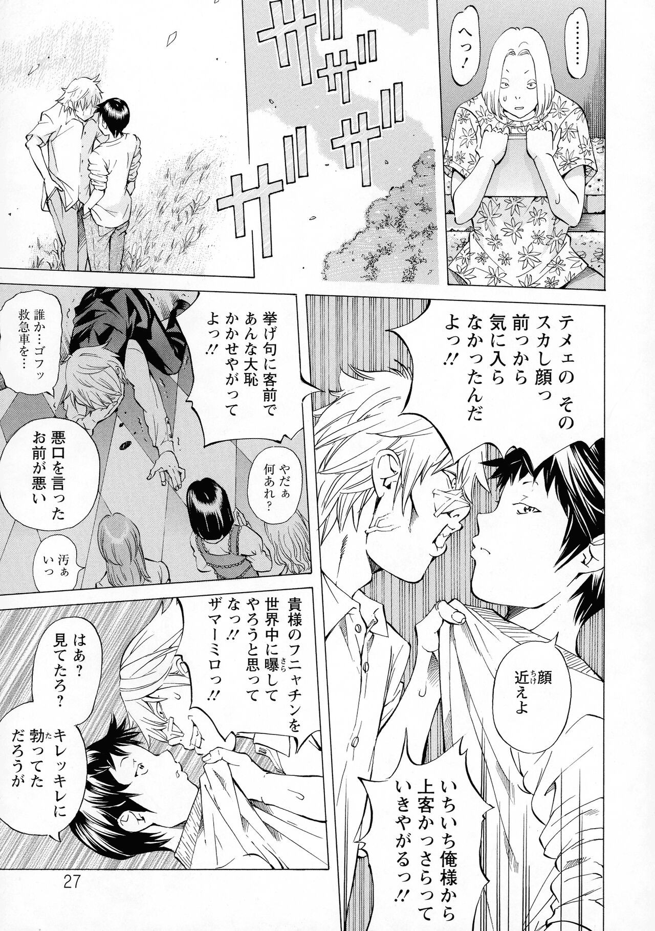 Page 27