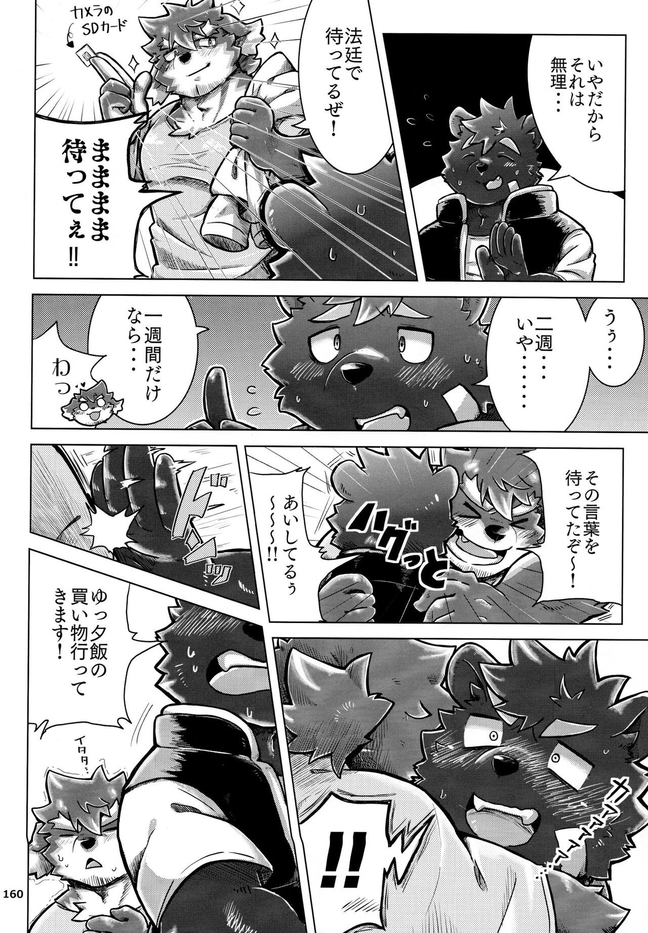 Page 161