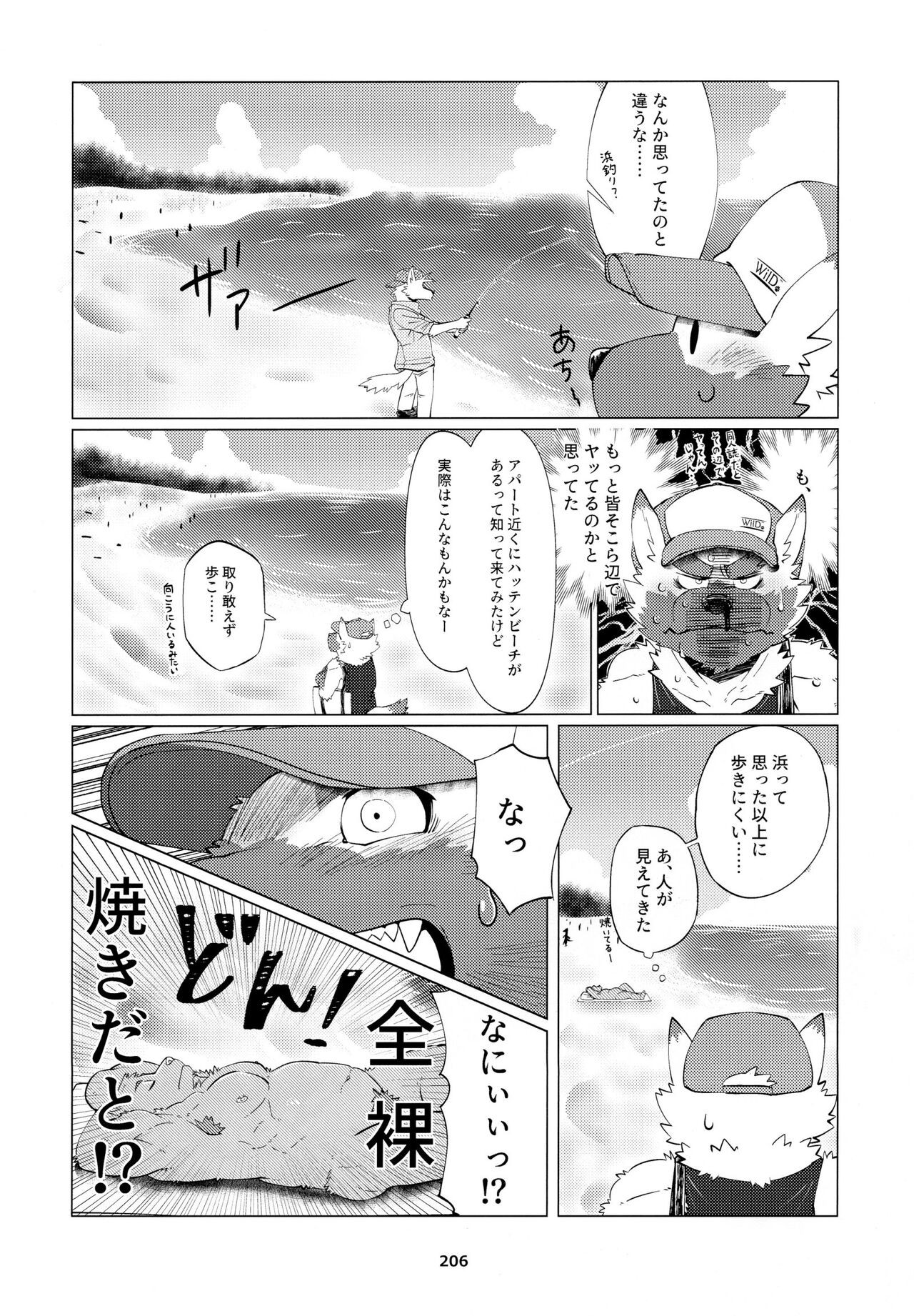 Page 207