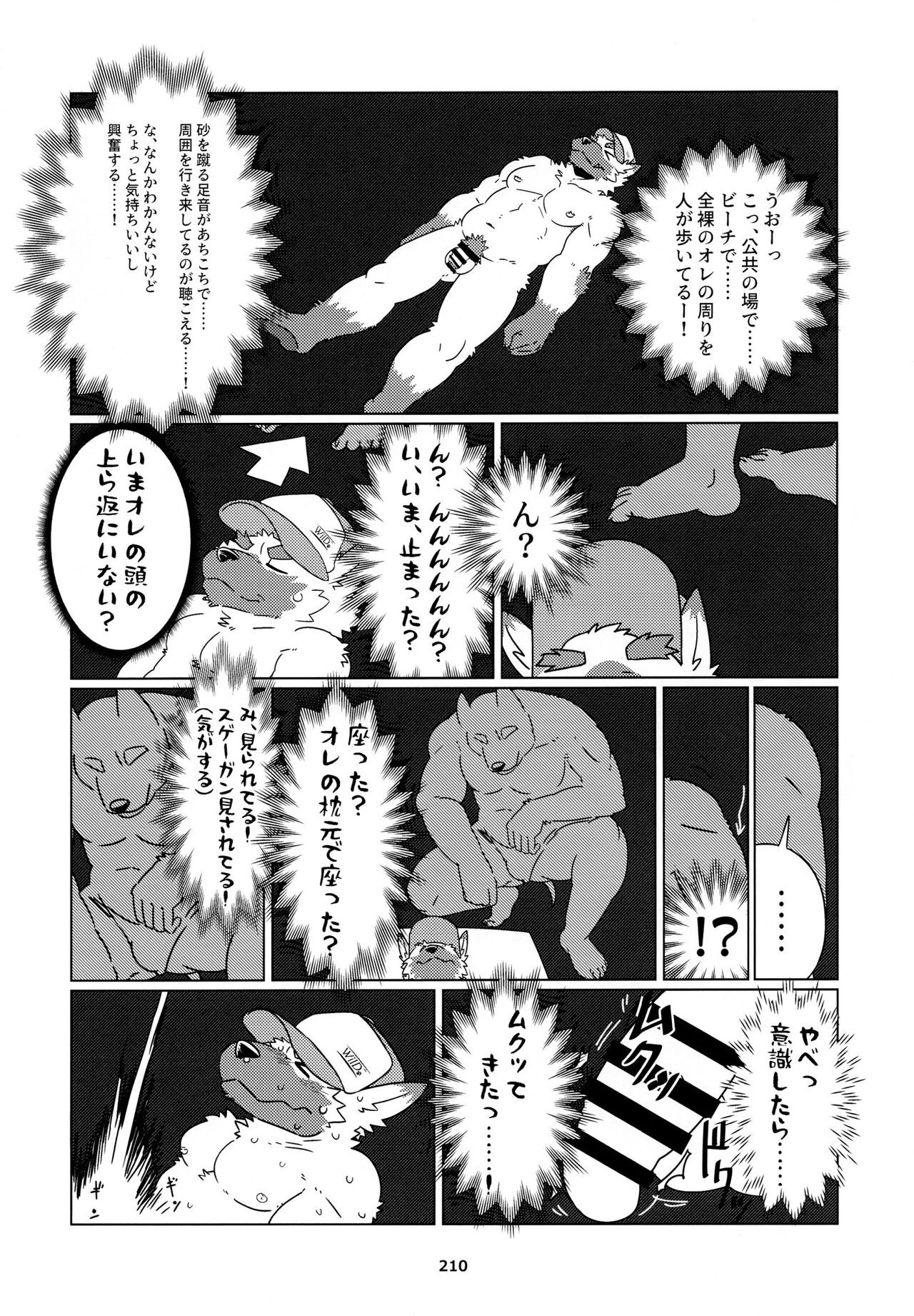 Page 211