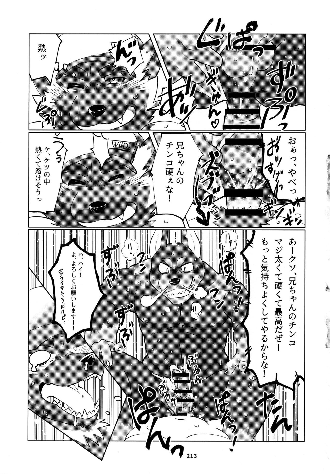 Page 214