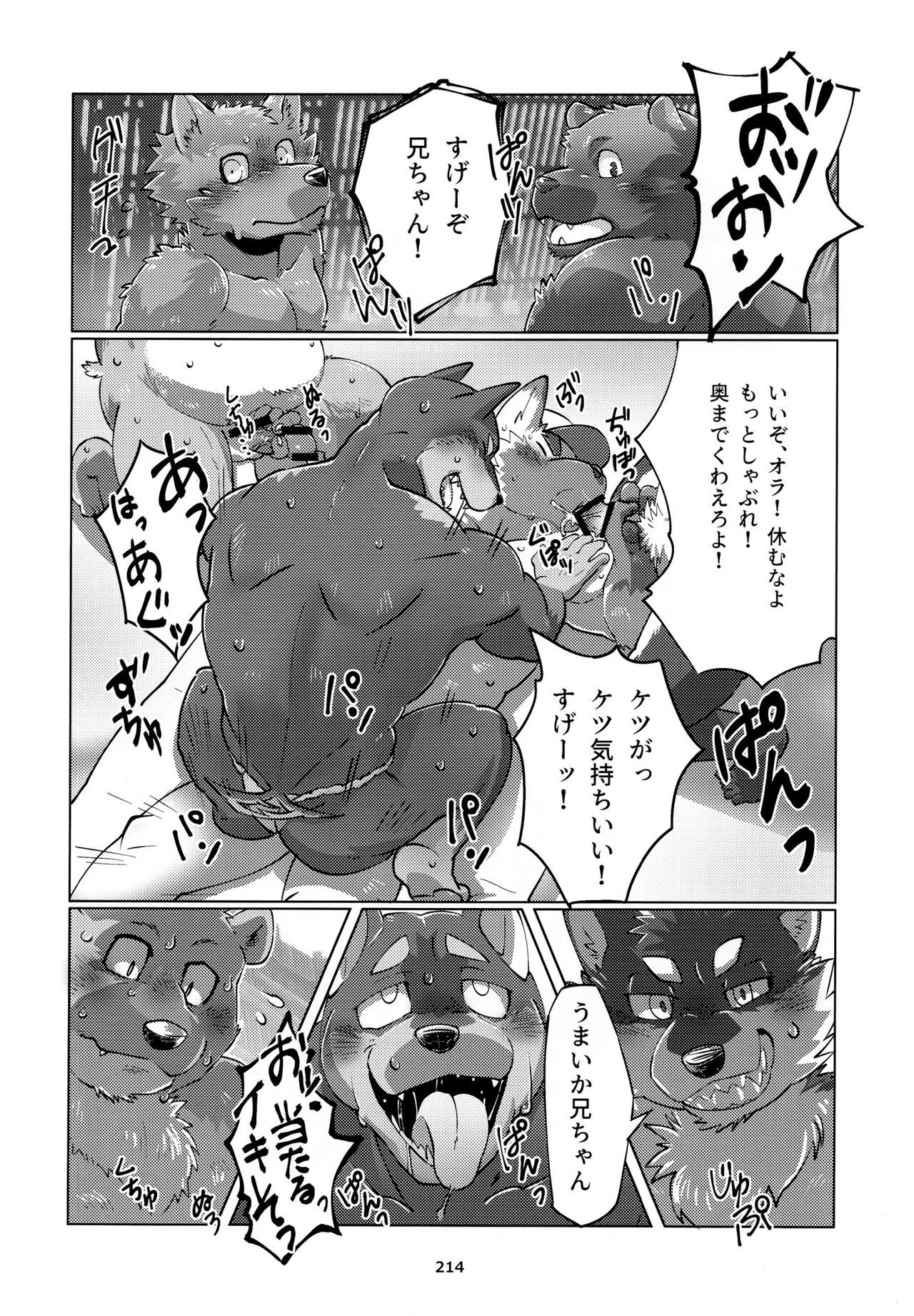 Page 215