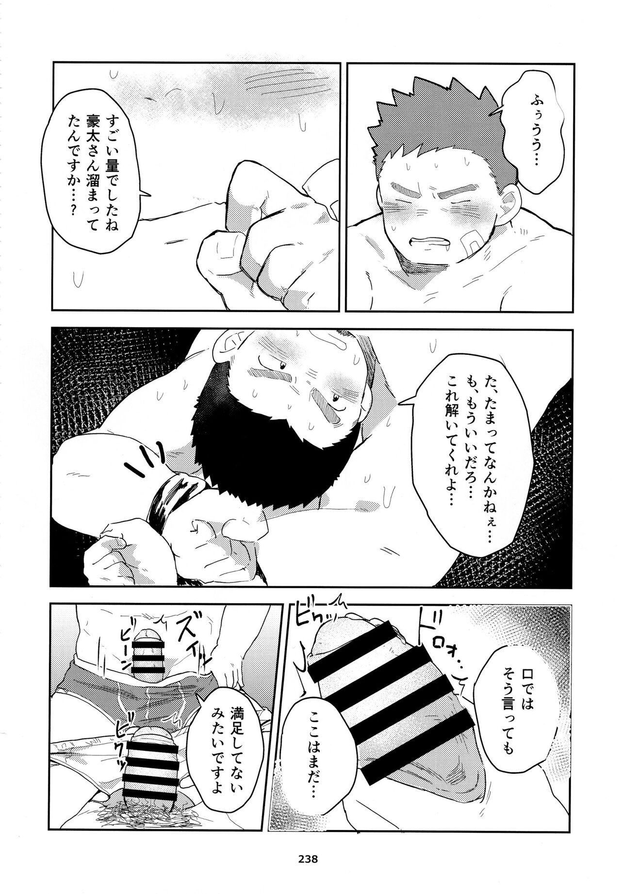 Page 239