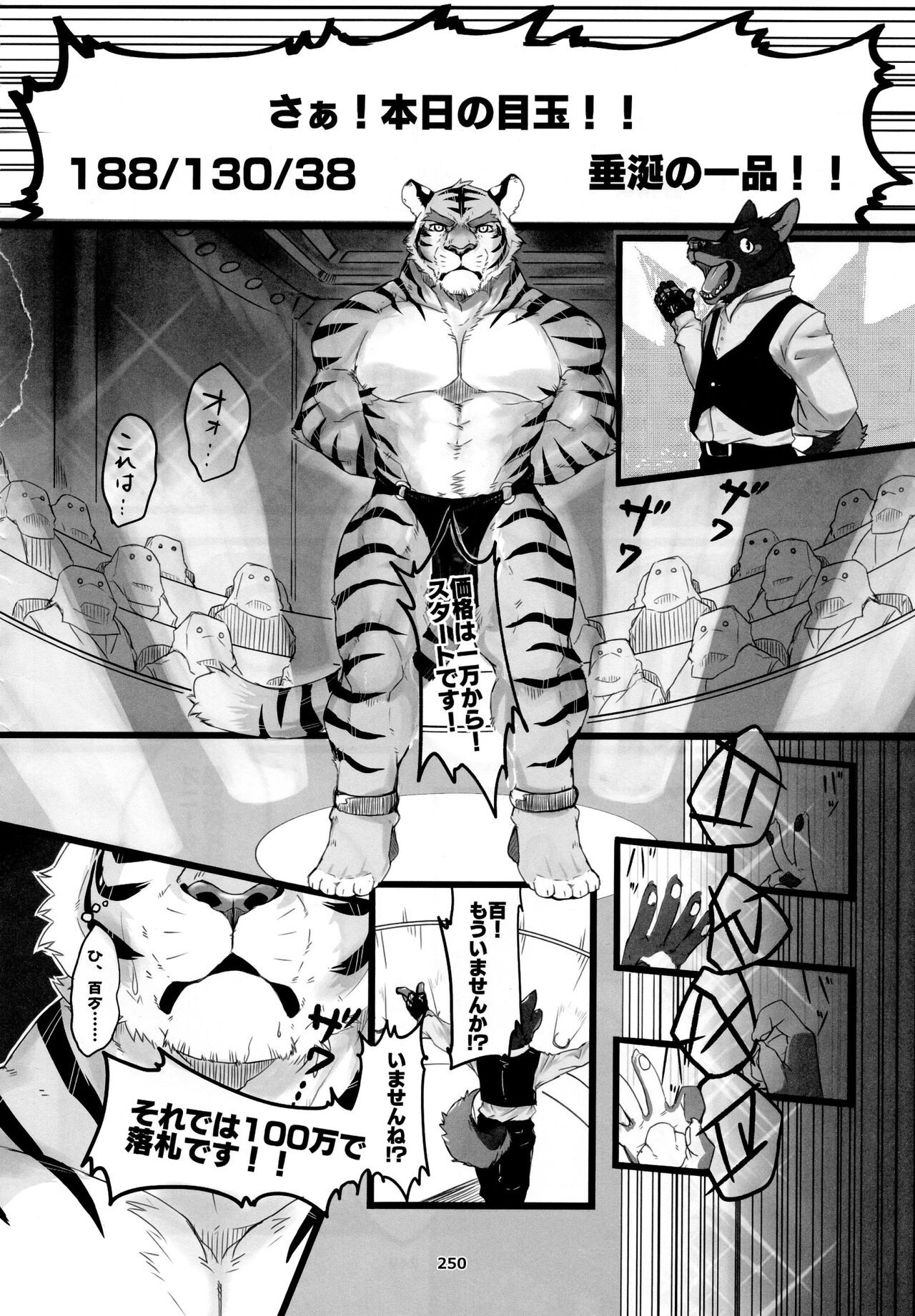 Page 251