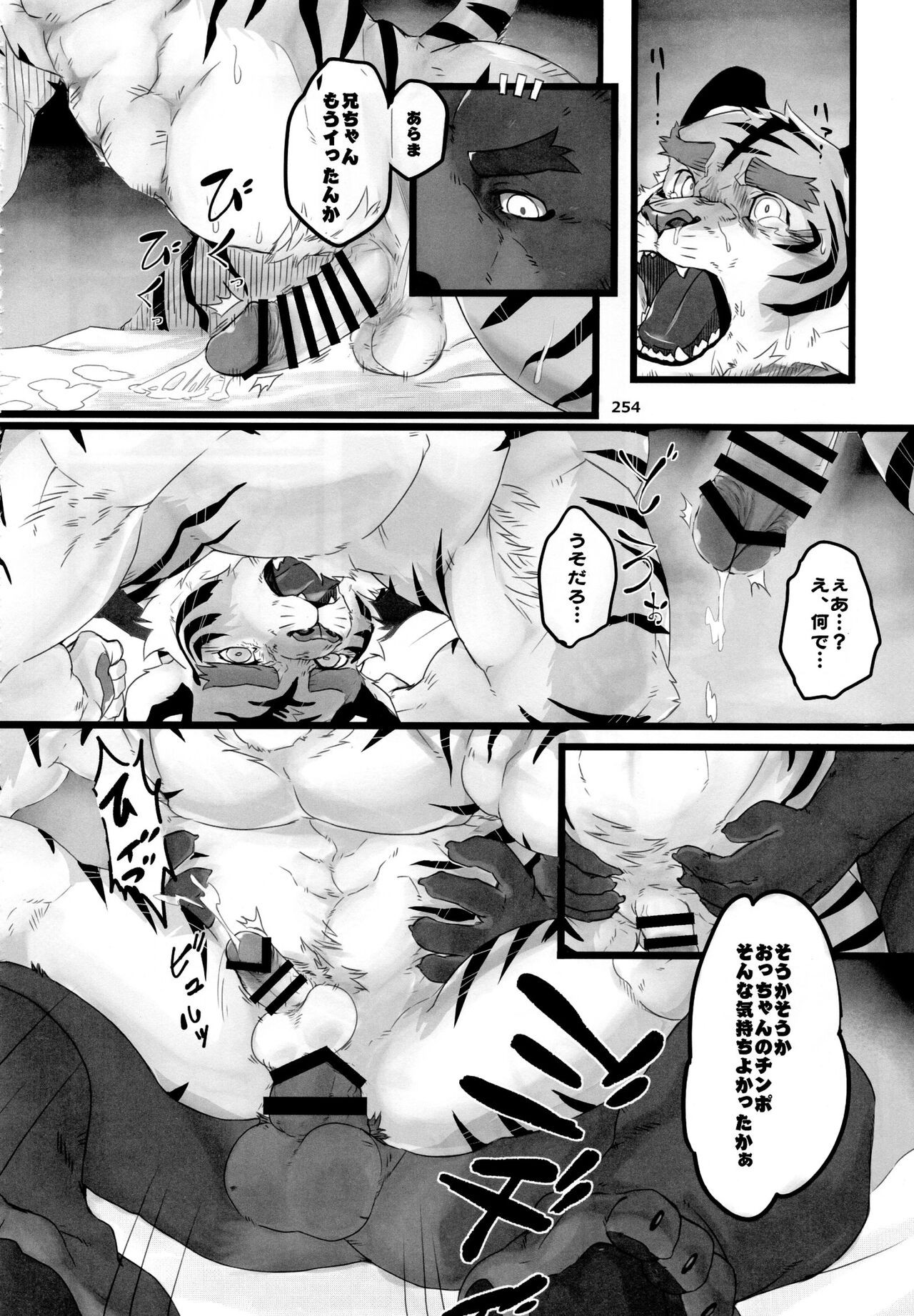Page 255
