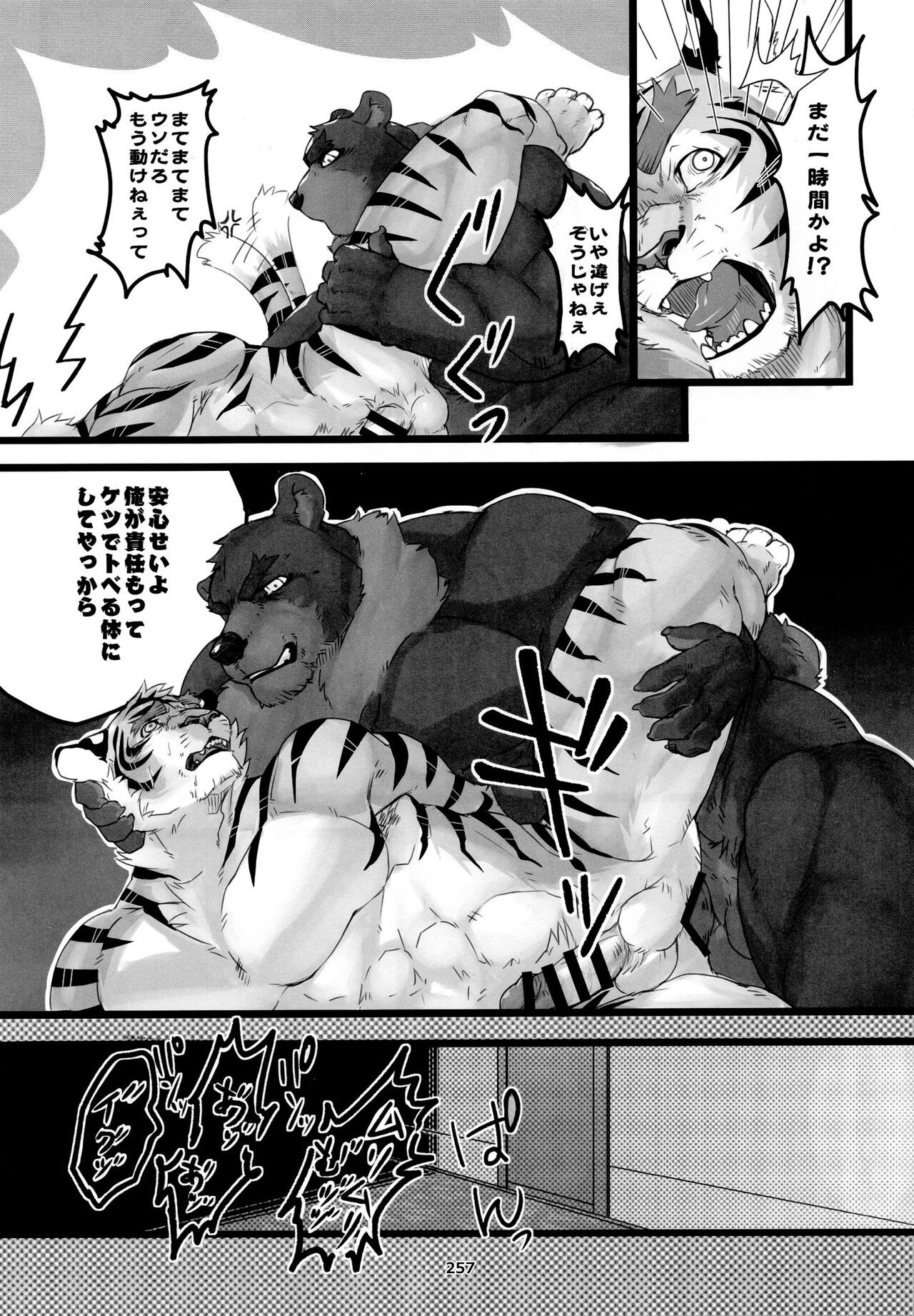 Page 258