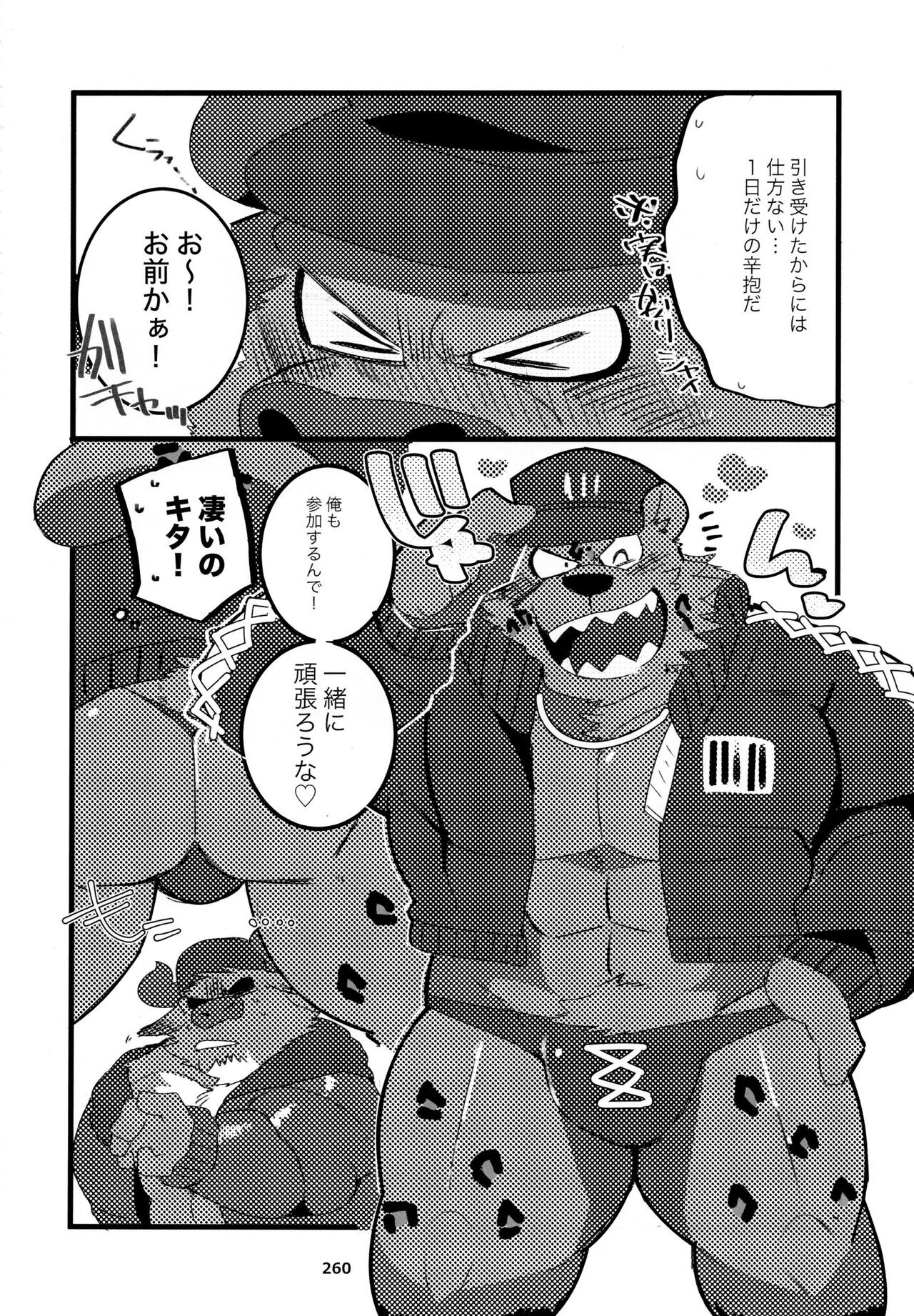 Page 261