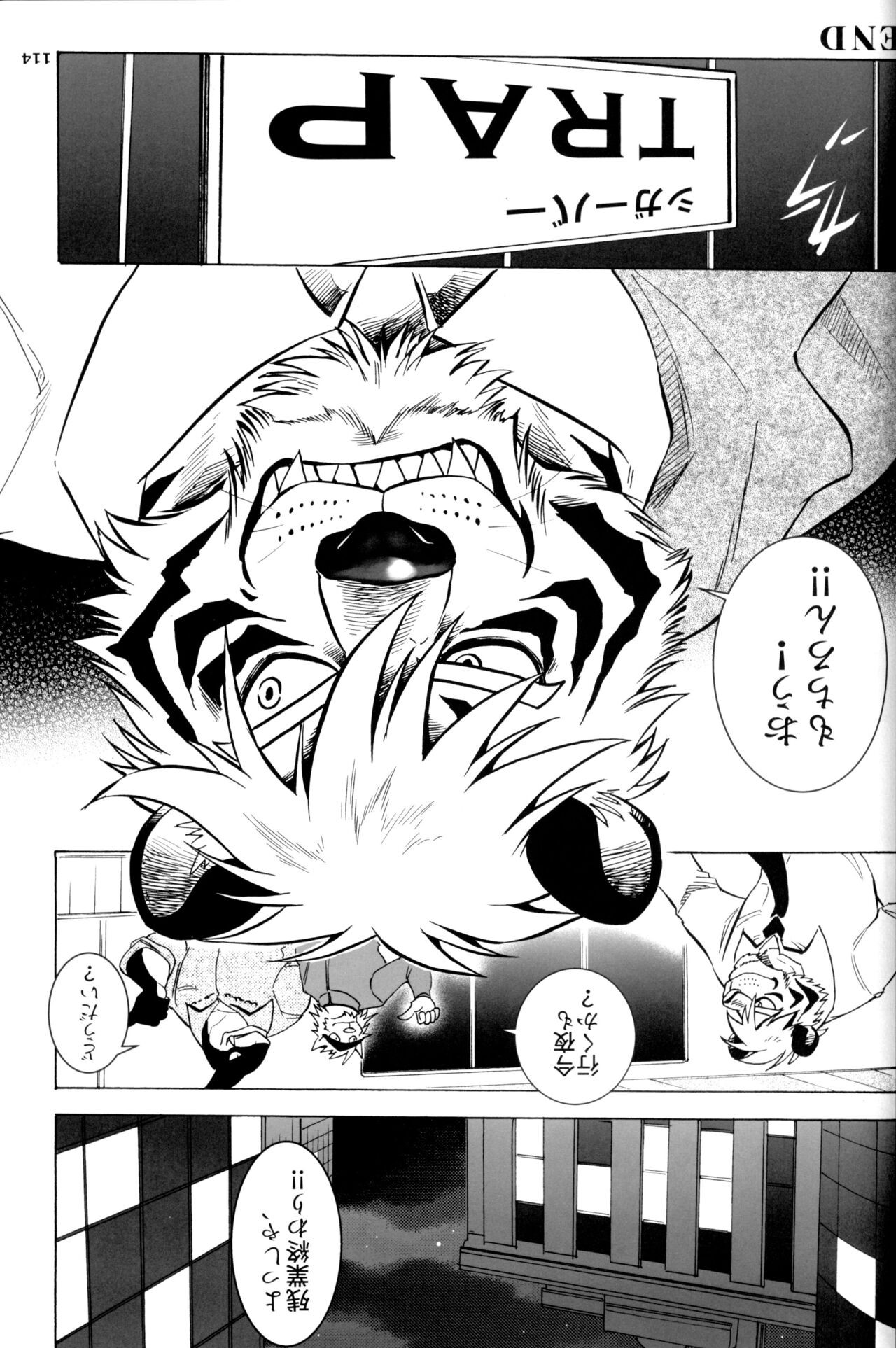 Page 113