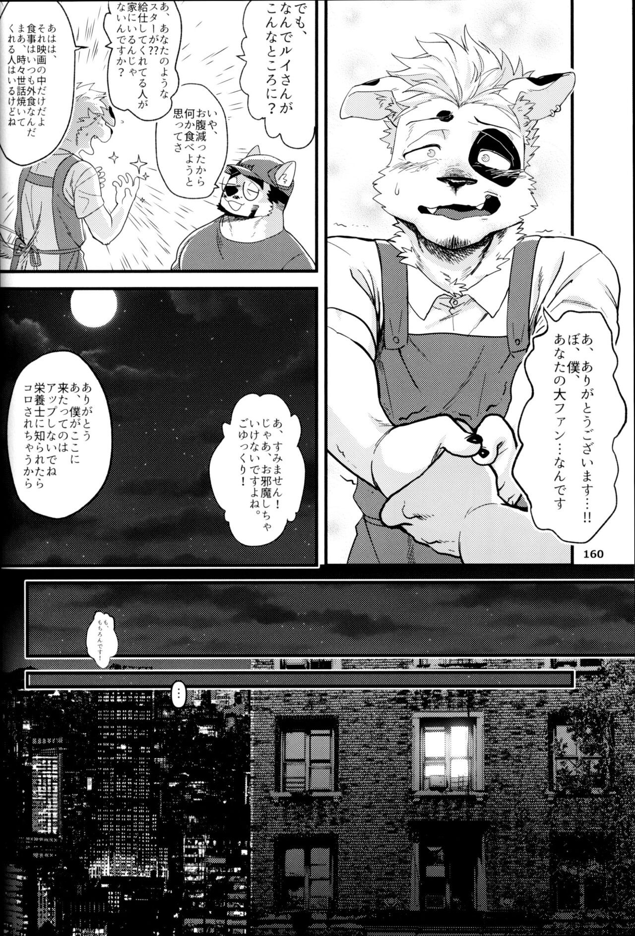 Page 161