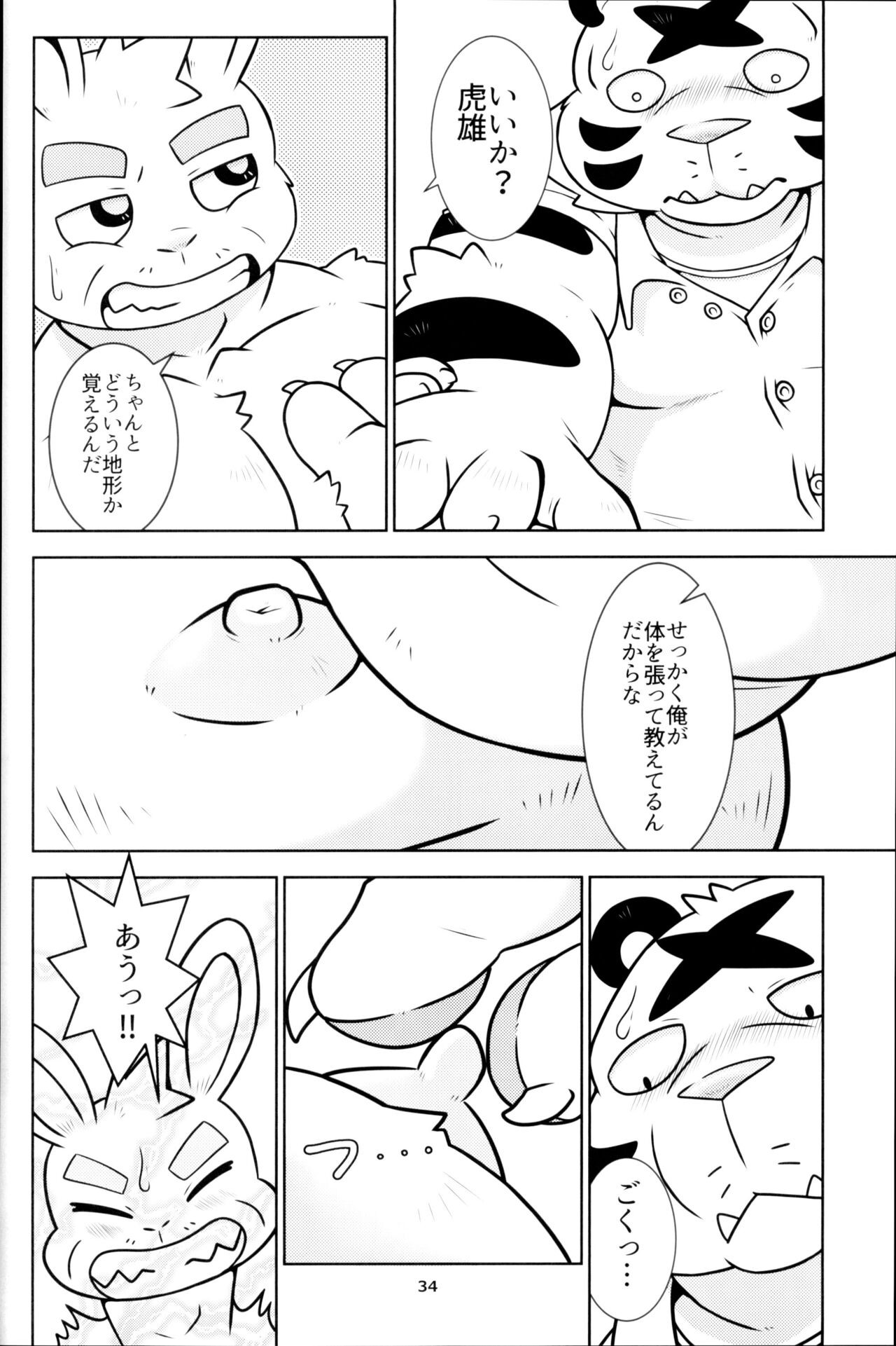 Page 33