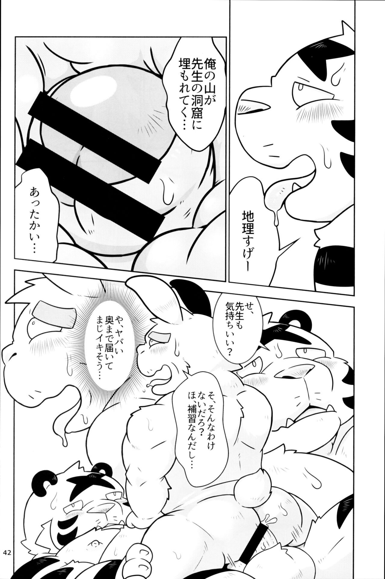 Page 41