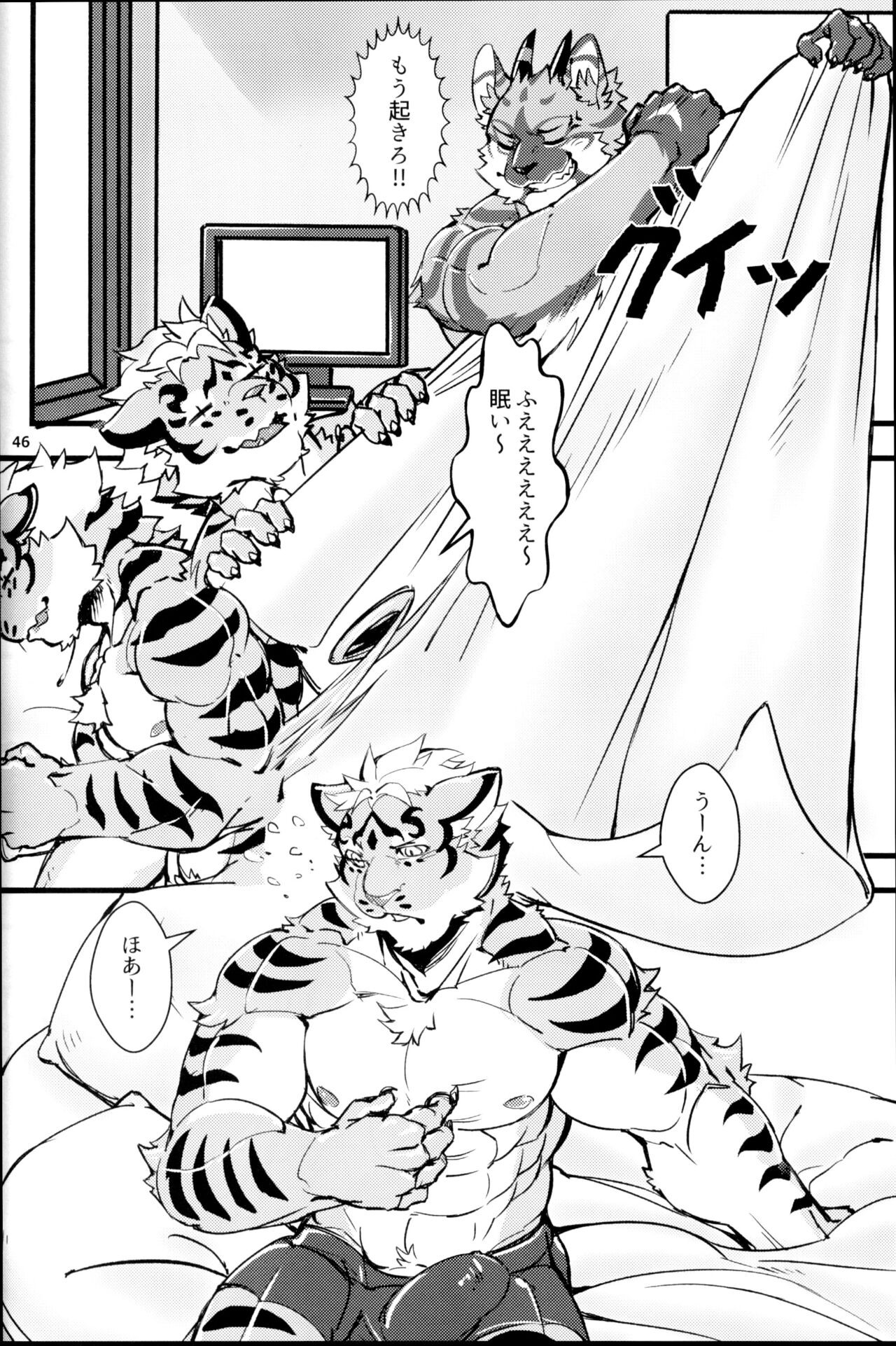 Page 45