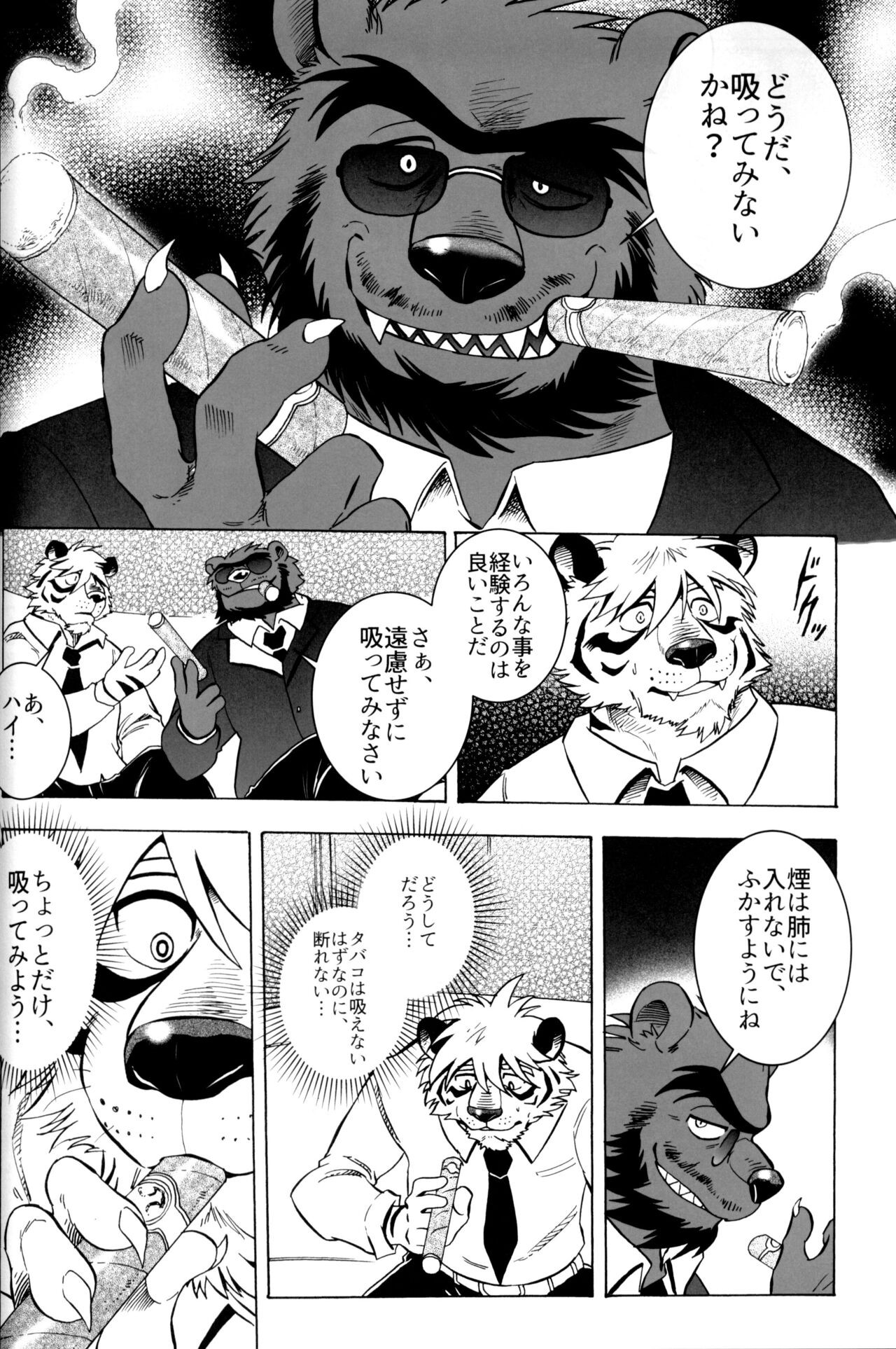 Page 97