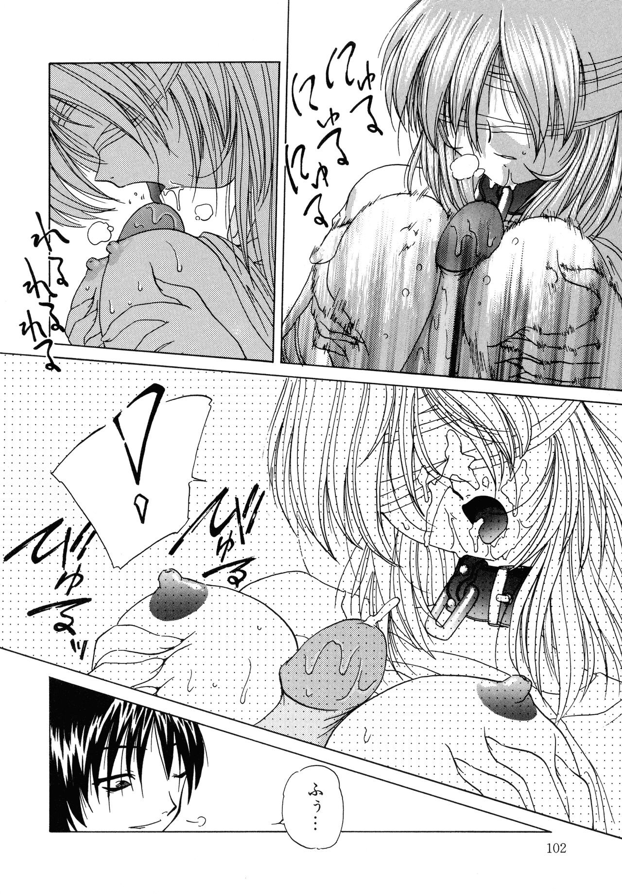 Page 102