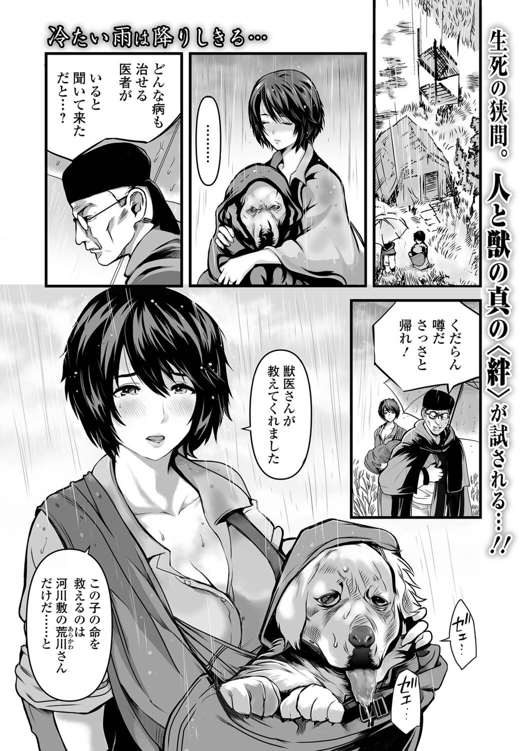 Page 235
