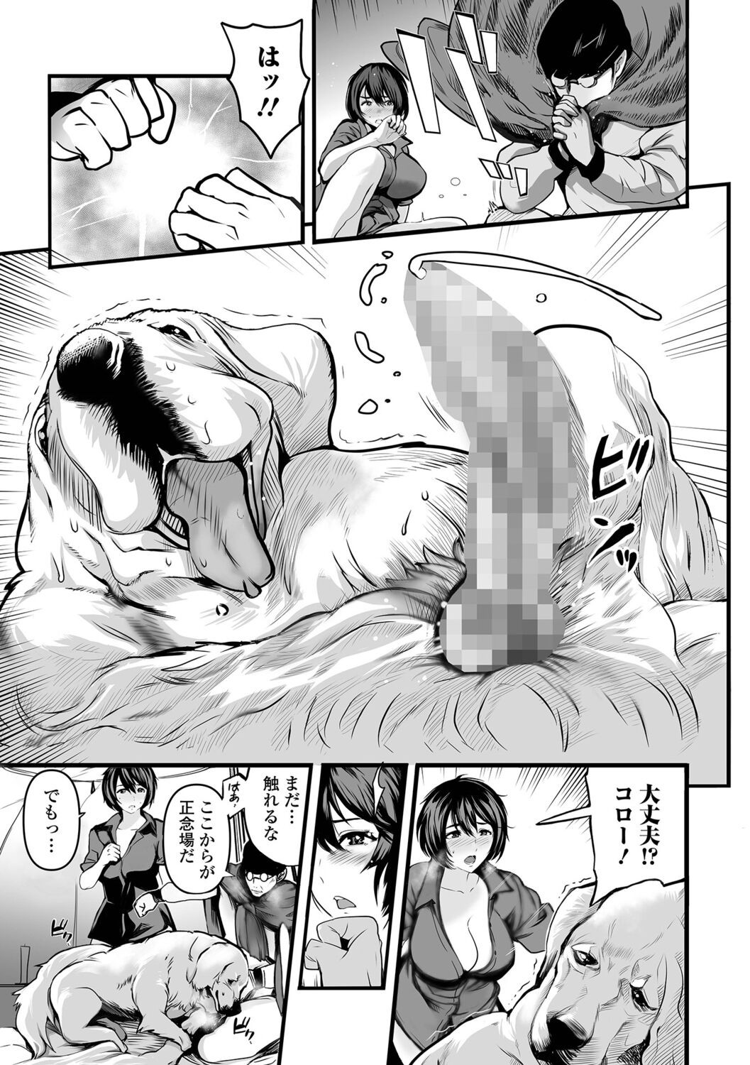 Page 241
