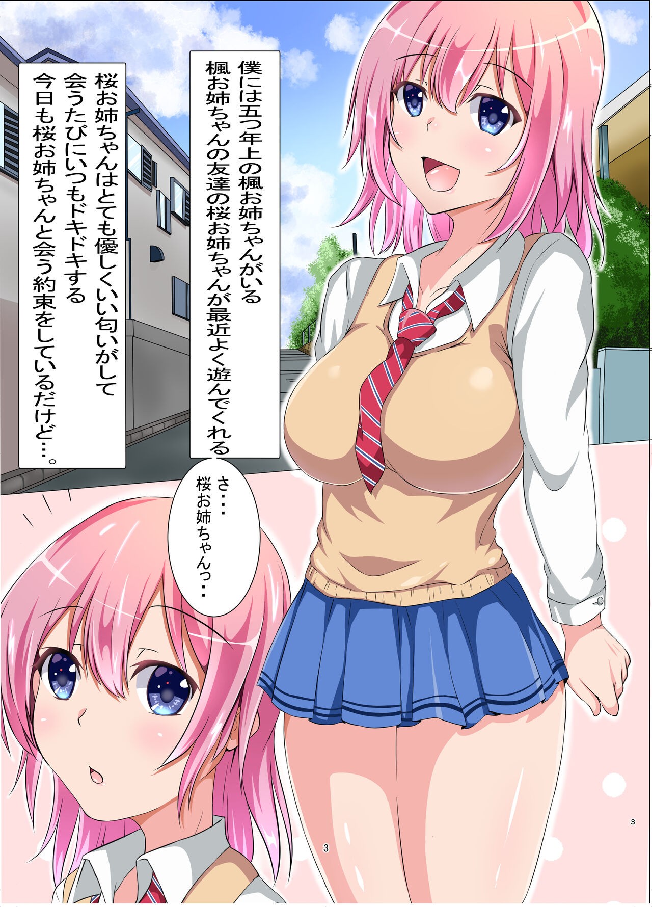Page 3