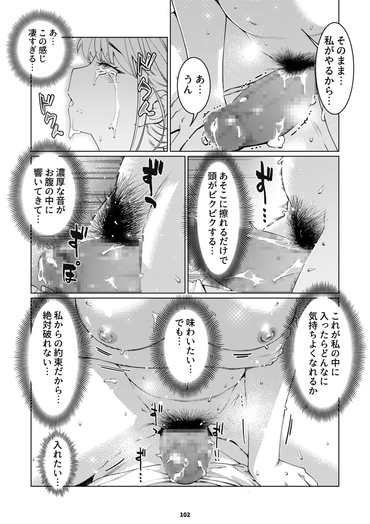 Page 101