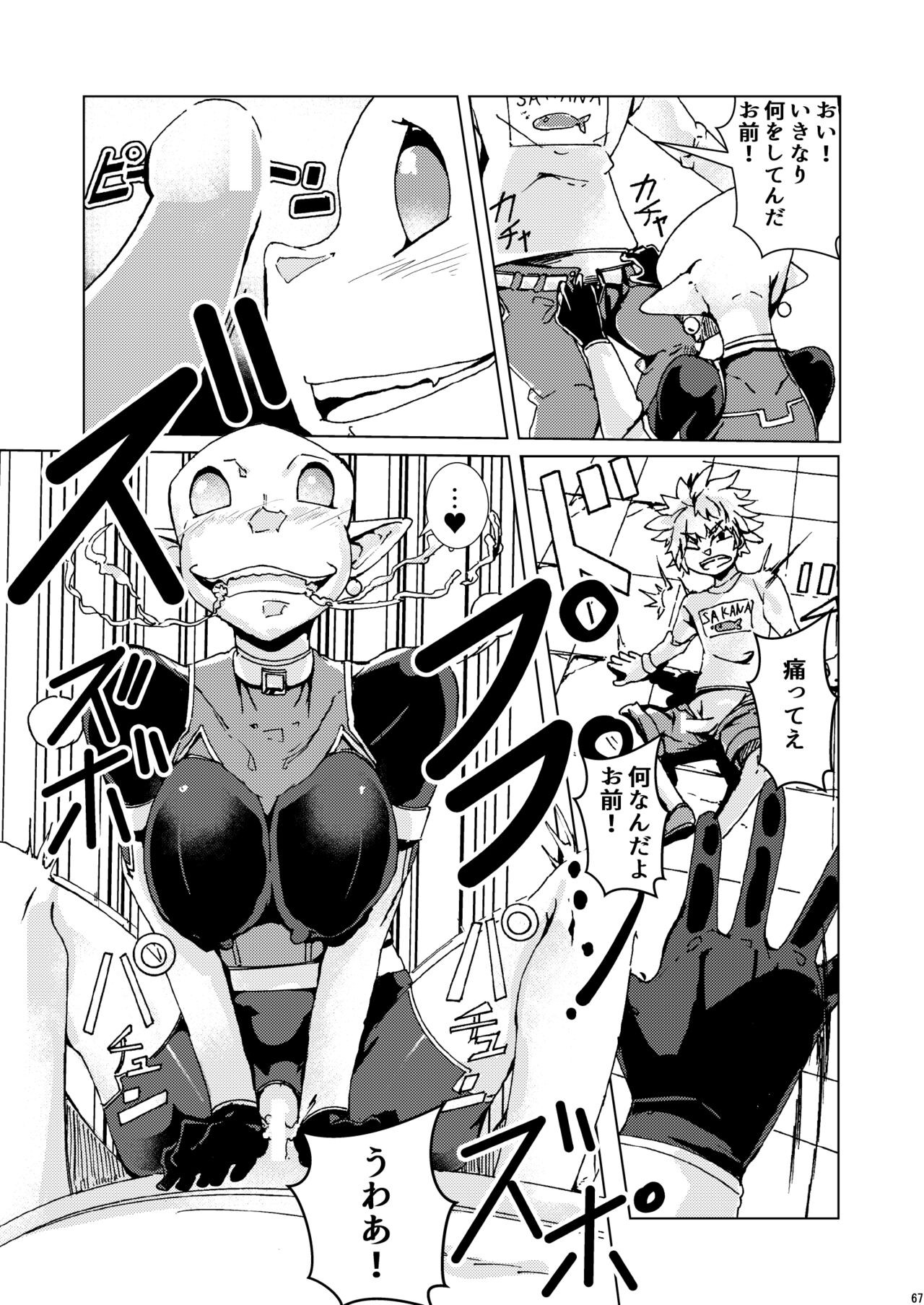 Page 66