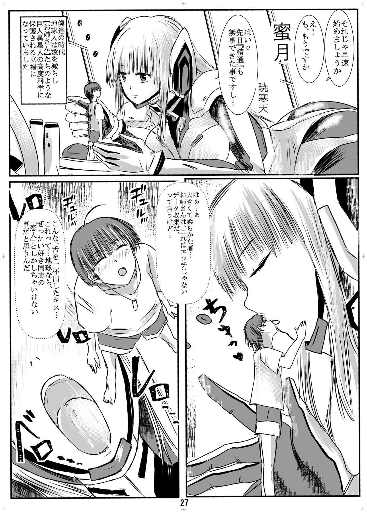 Page 26