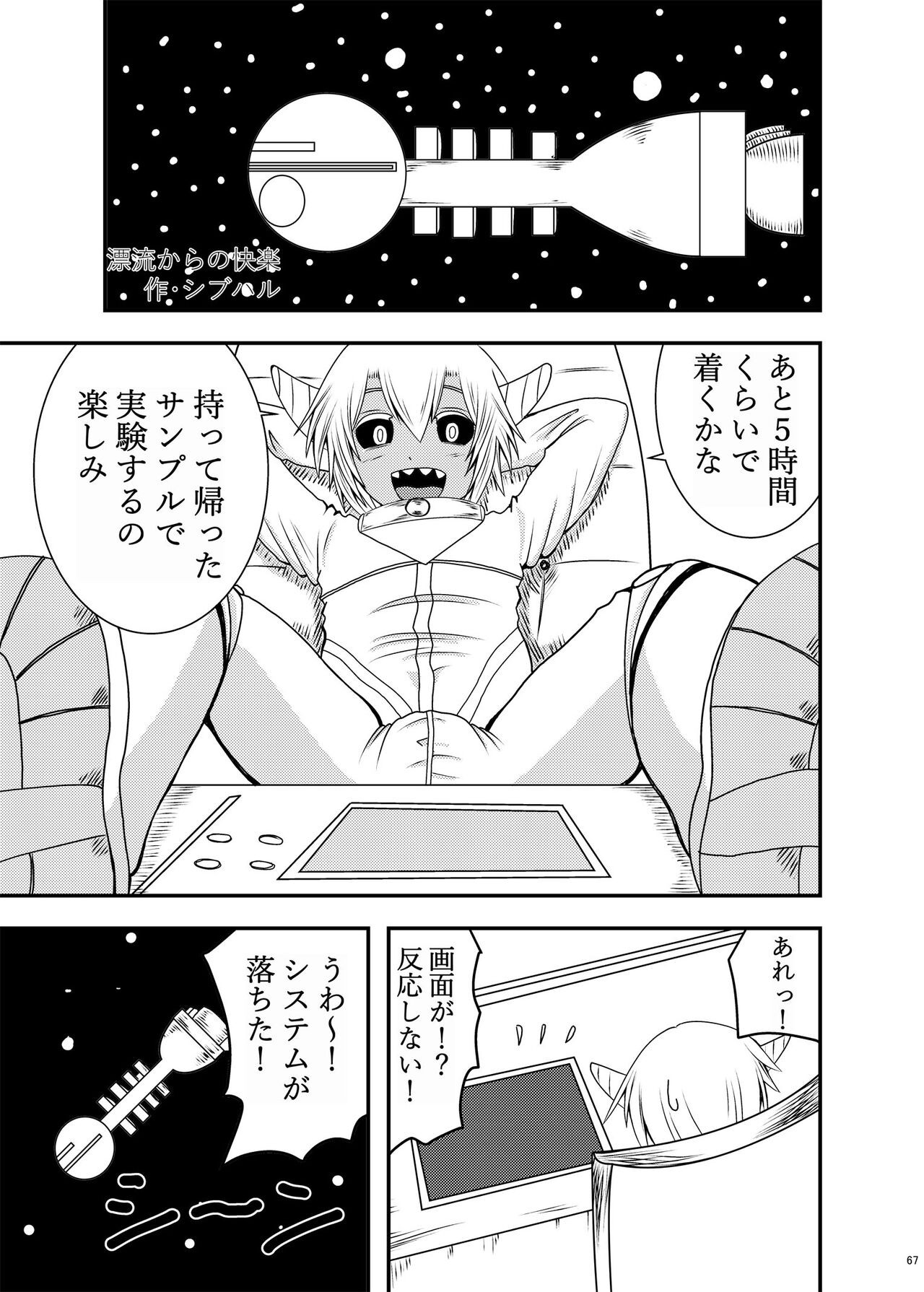 Page 66