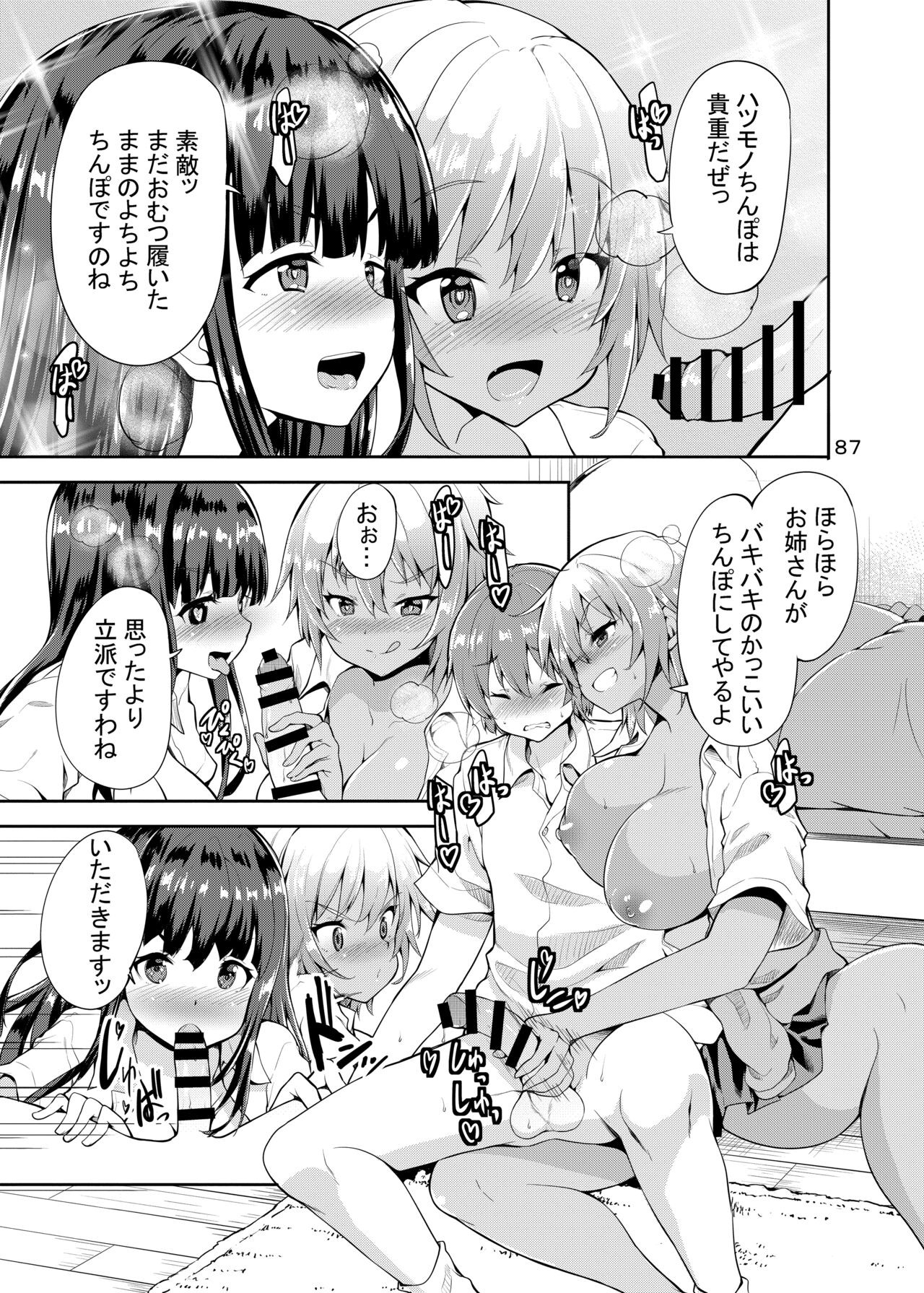 Page 87