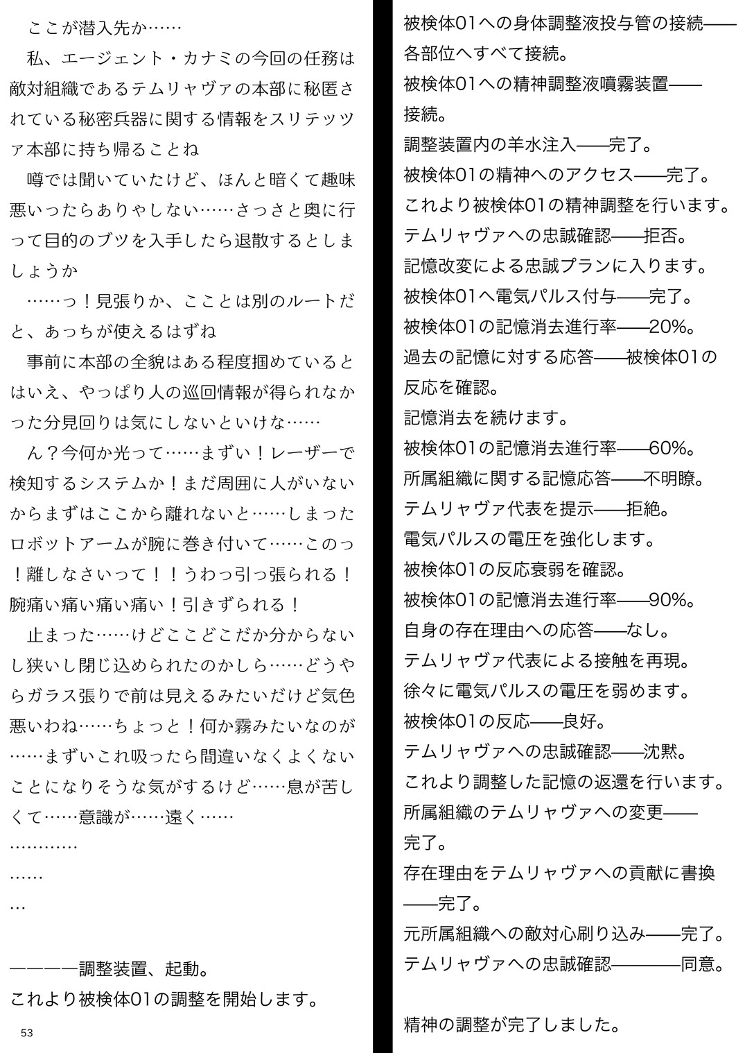 Page 53