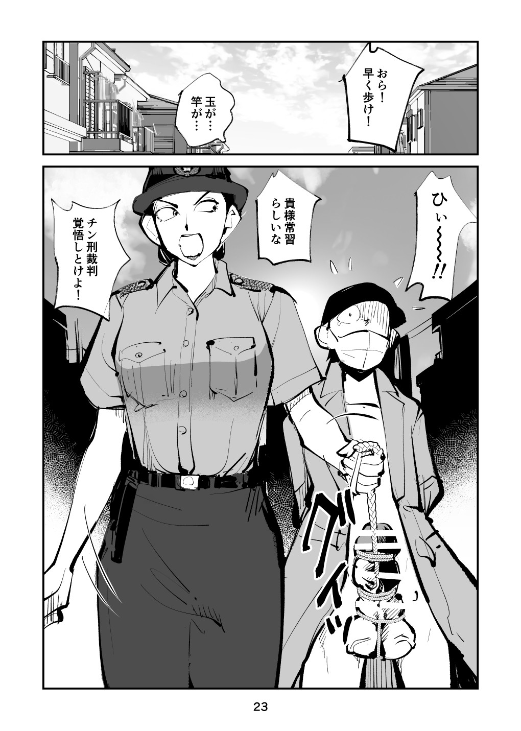 Page 23